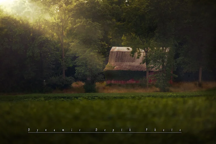 A weathered barn sits at the edge of a green field beneath sunlit trees.