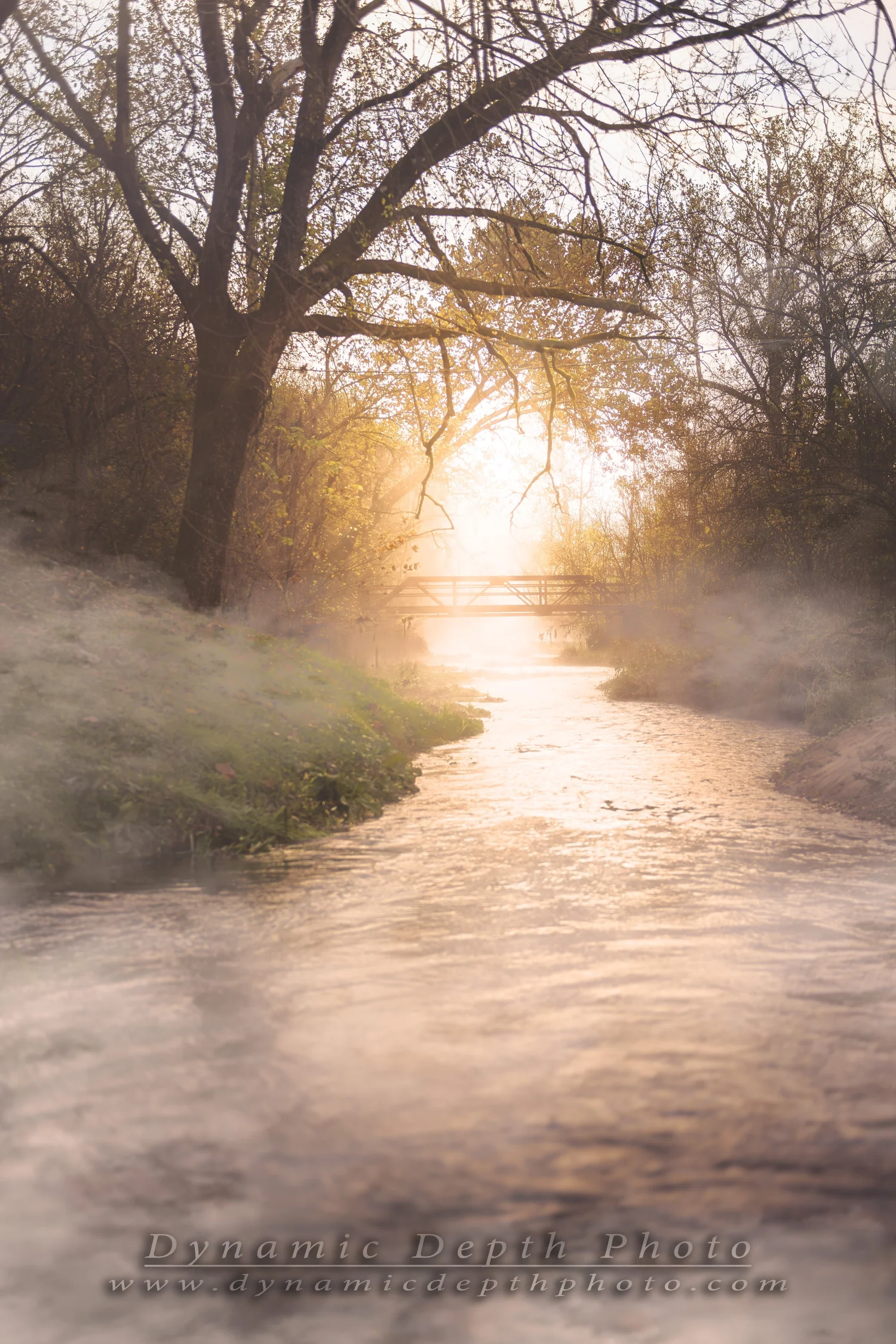 Footbridge over a Misty Stream. Visible: footbridge, stream, mist.