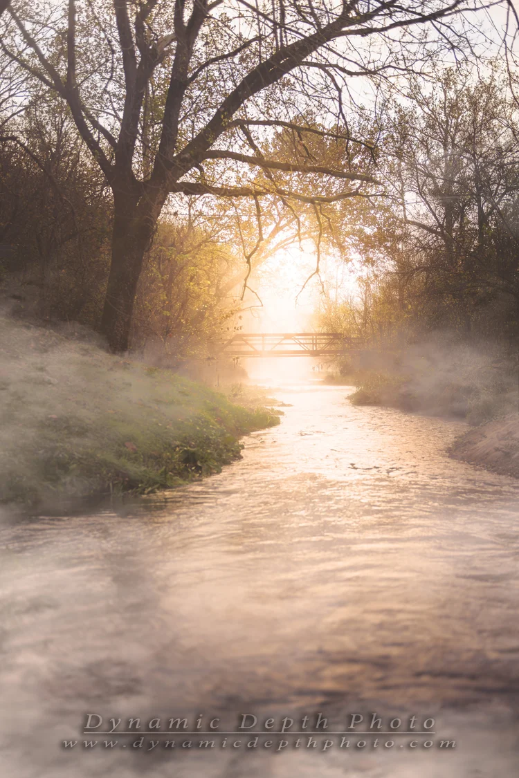 Sunlight streams through bare branches above a misty woodland stream.