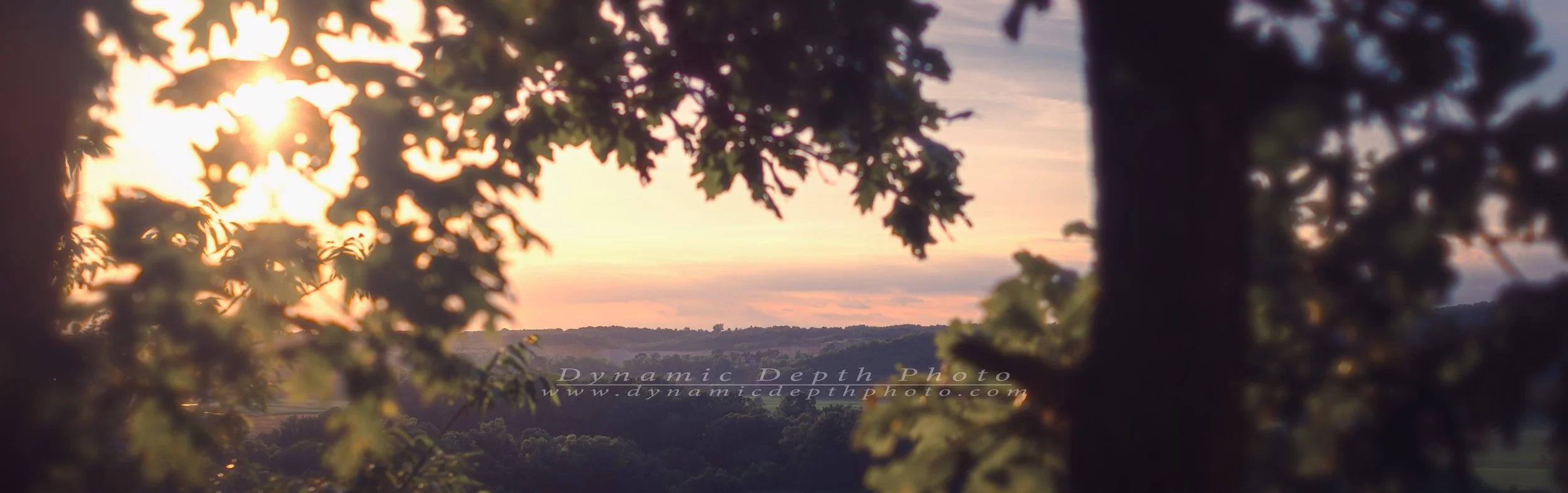 The setting sun filters through the leaves, framing a wide view of wooded hills beneath a soft orange sky. Dark trunks and softly blurred branches give the scene the feeling of a quiet pause along a shaded overlook.