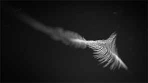 TechFleeceGifxx08 (1).gif