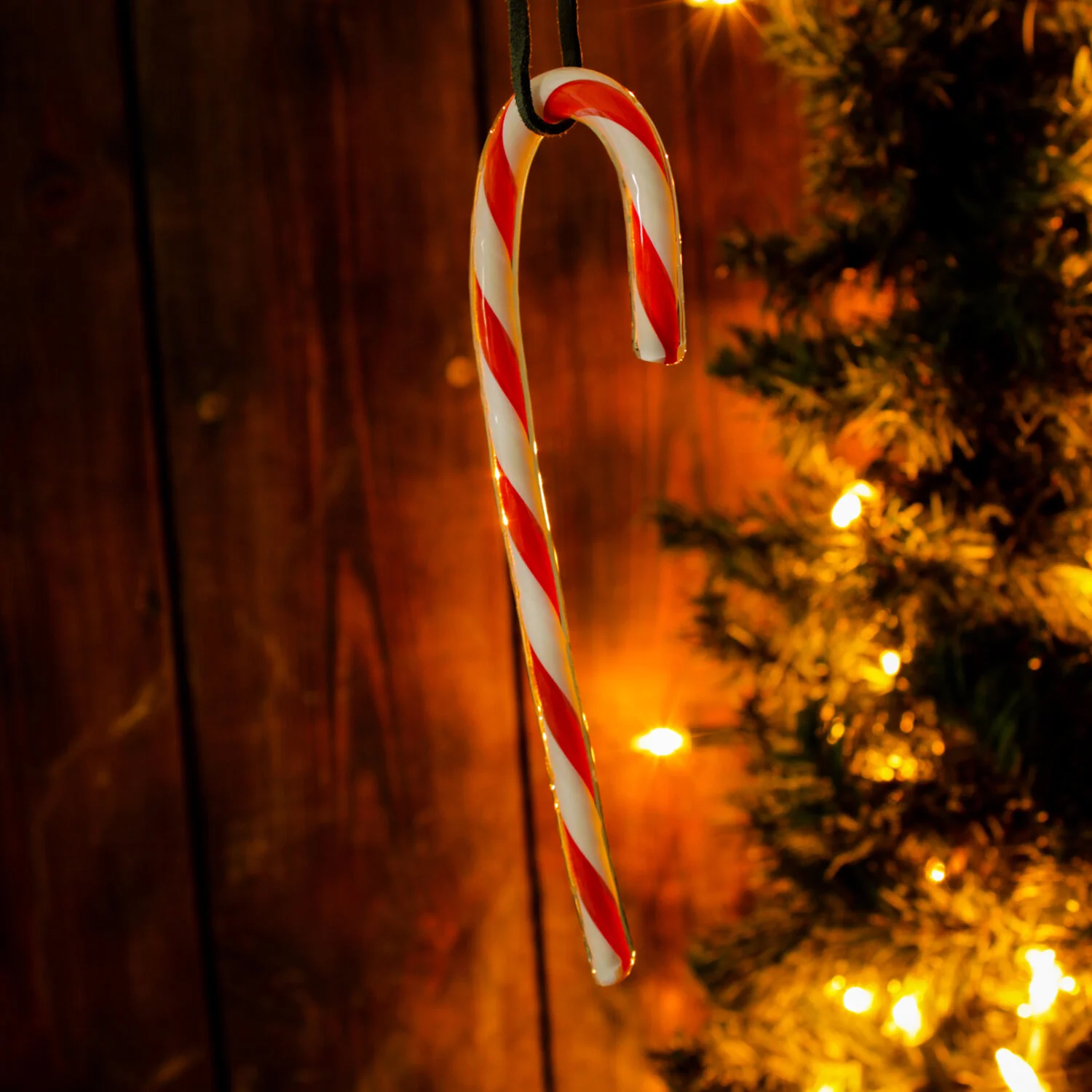 candycane2.jpg