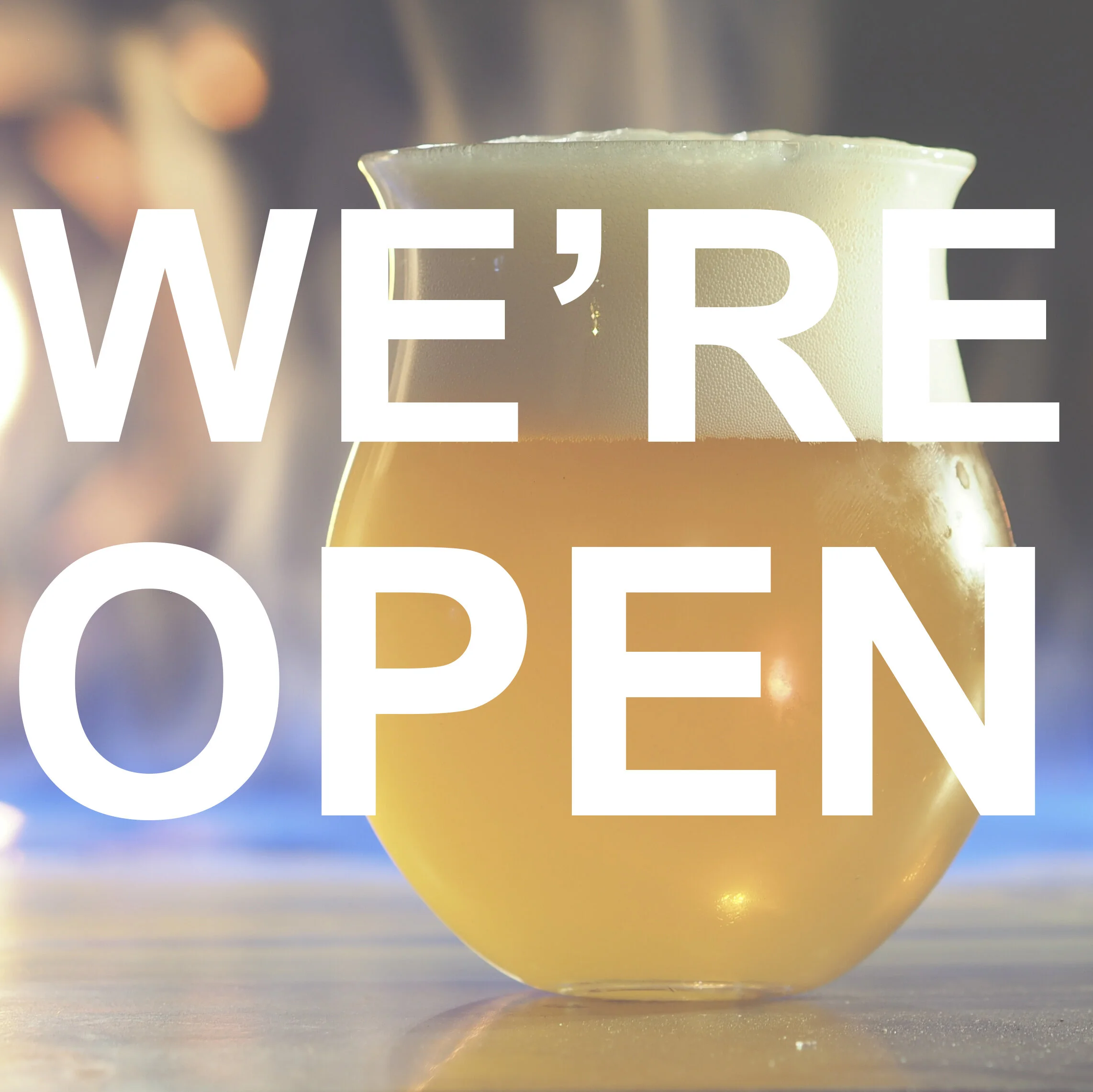 Terras Open!.