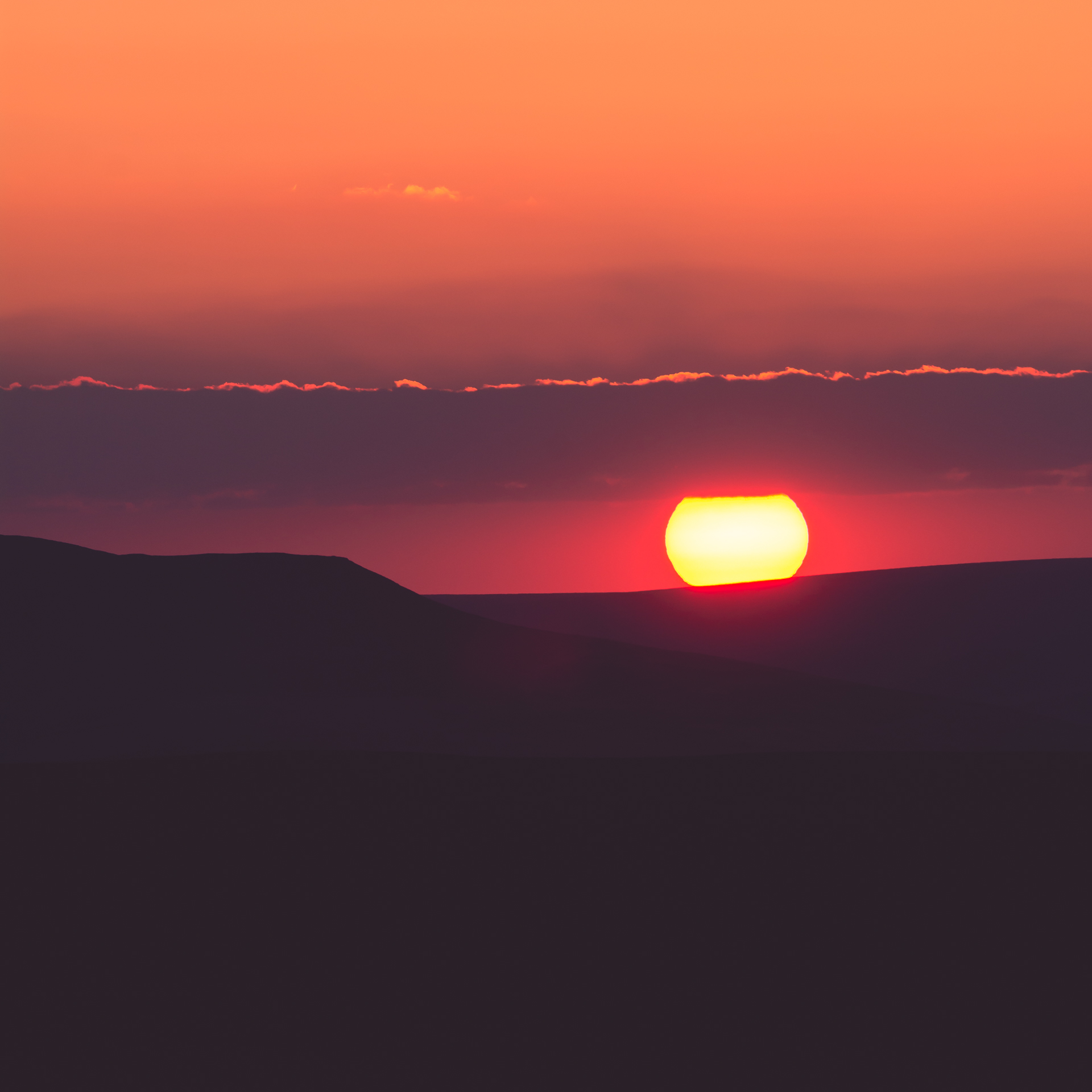 DSC_8104.jpg