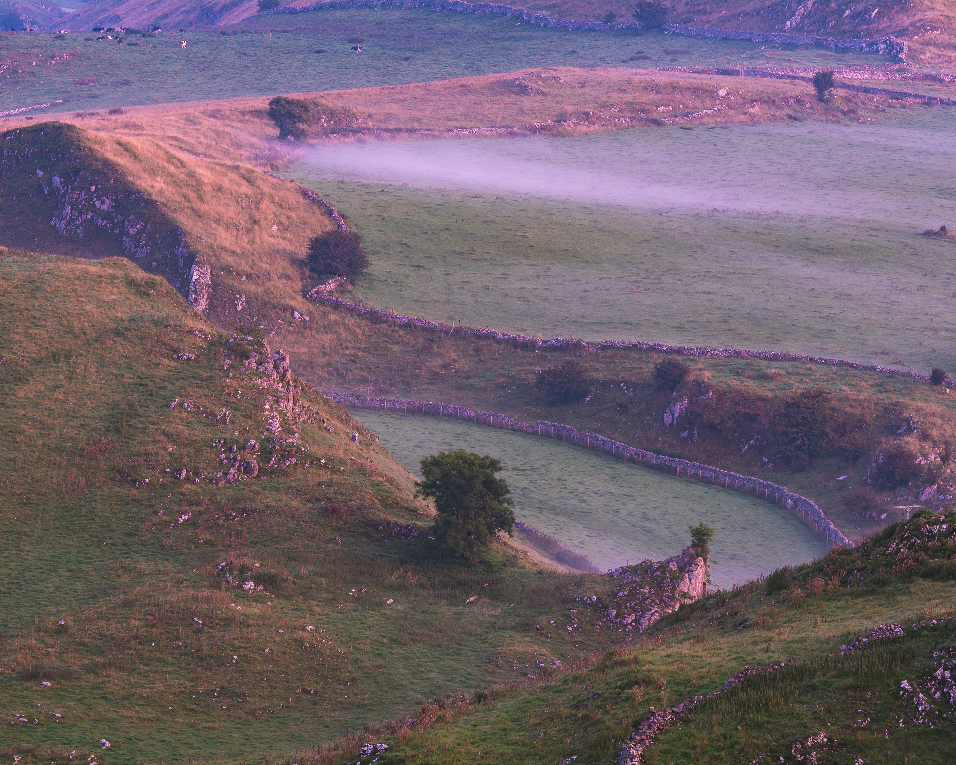 DSC_1390.jpg