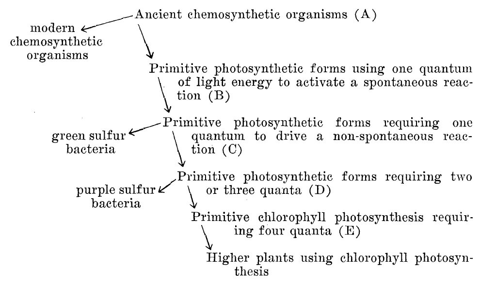 research on evolution of photosynthesis