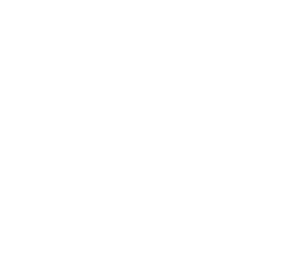 Wildfire RDC