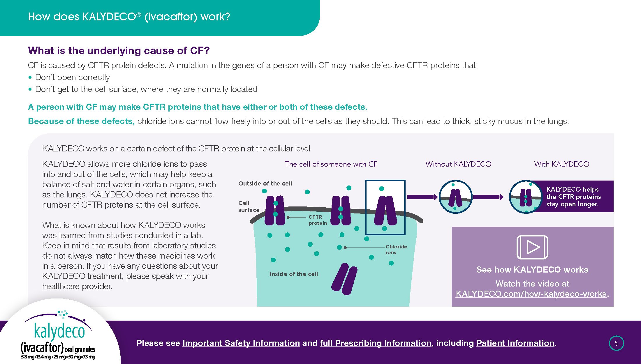 patient-brochure_Page_05.jpg
