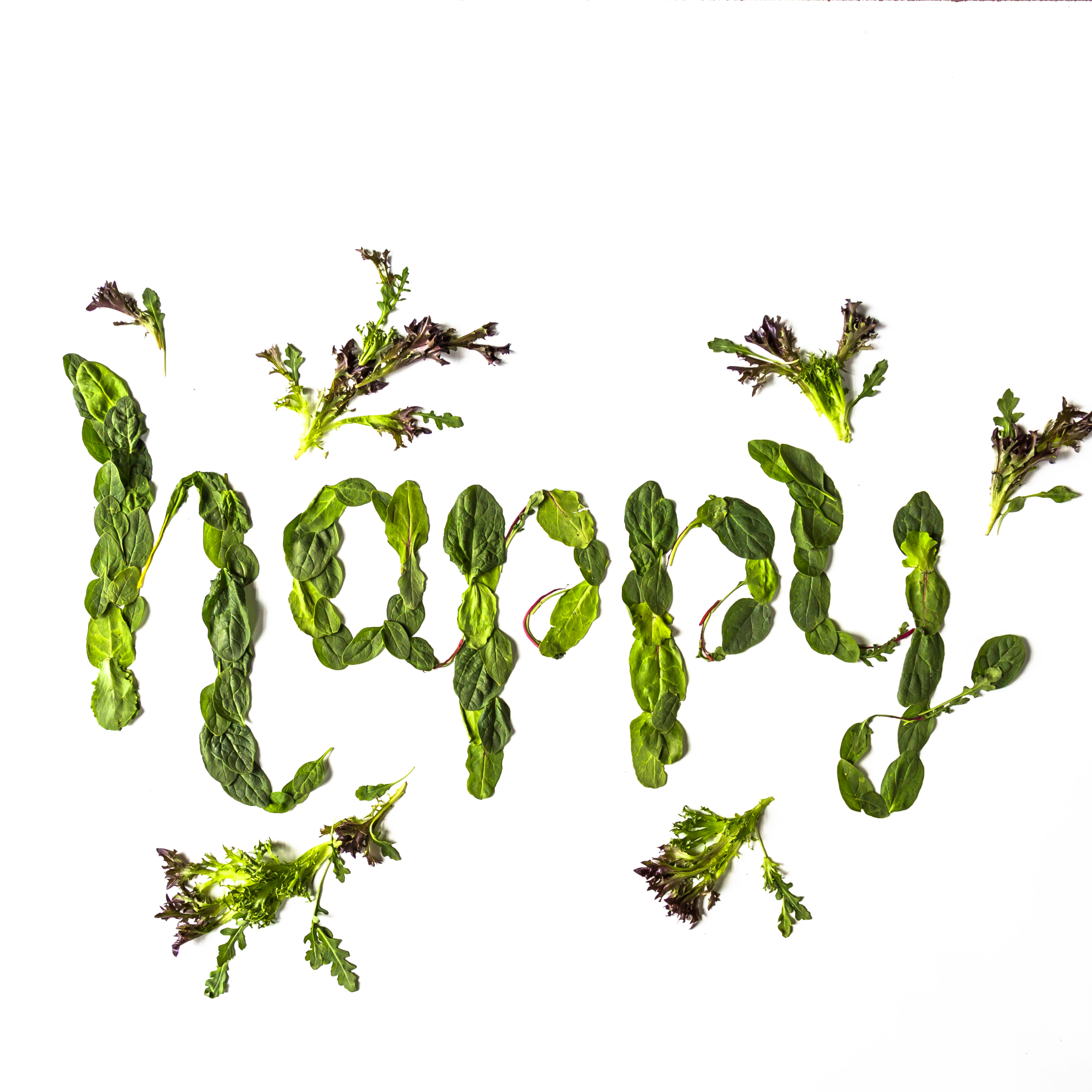 EBF_S3_Happy_01.png