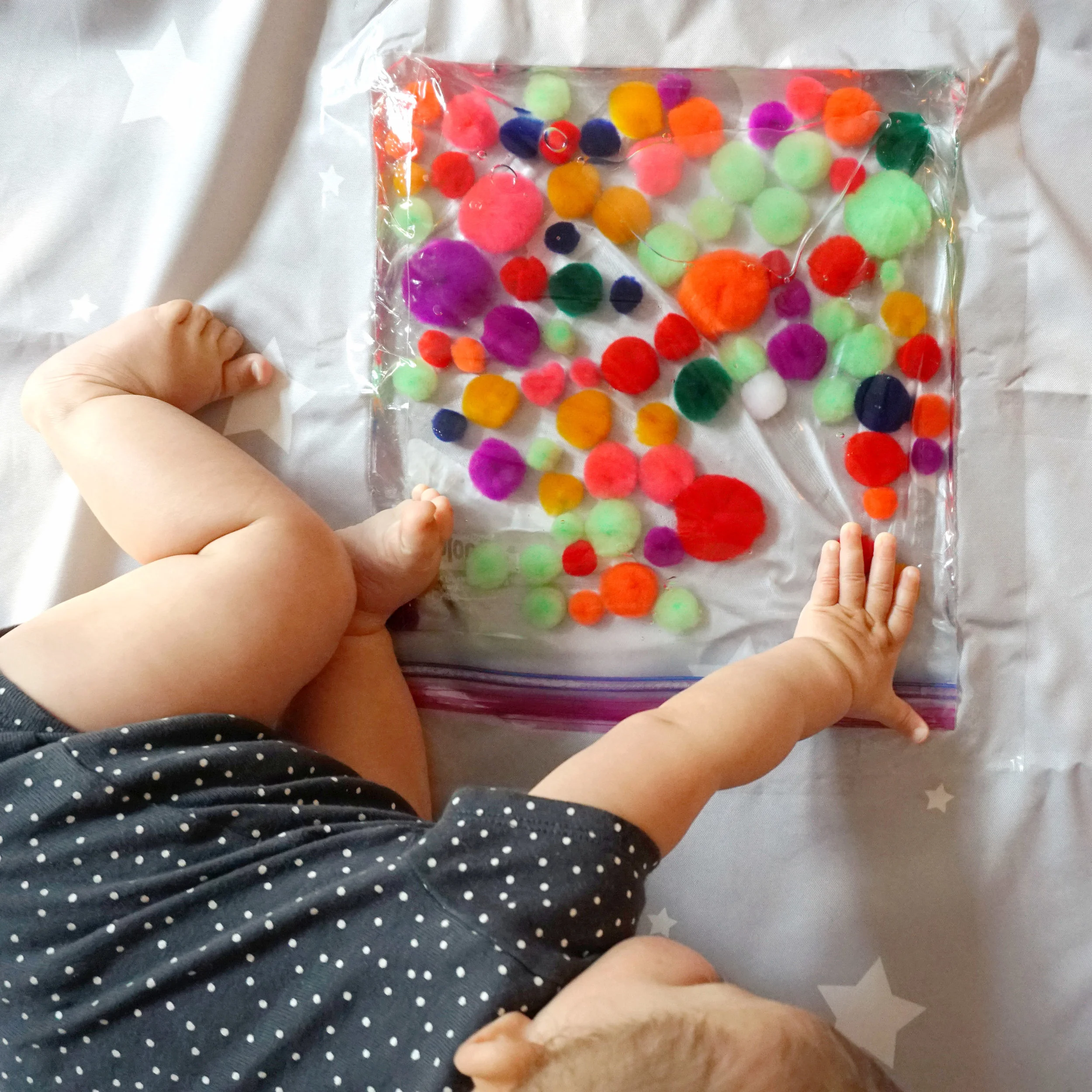 bag pom poms