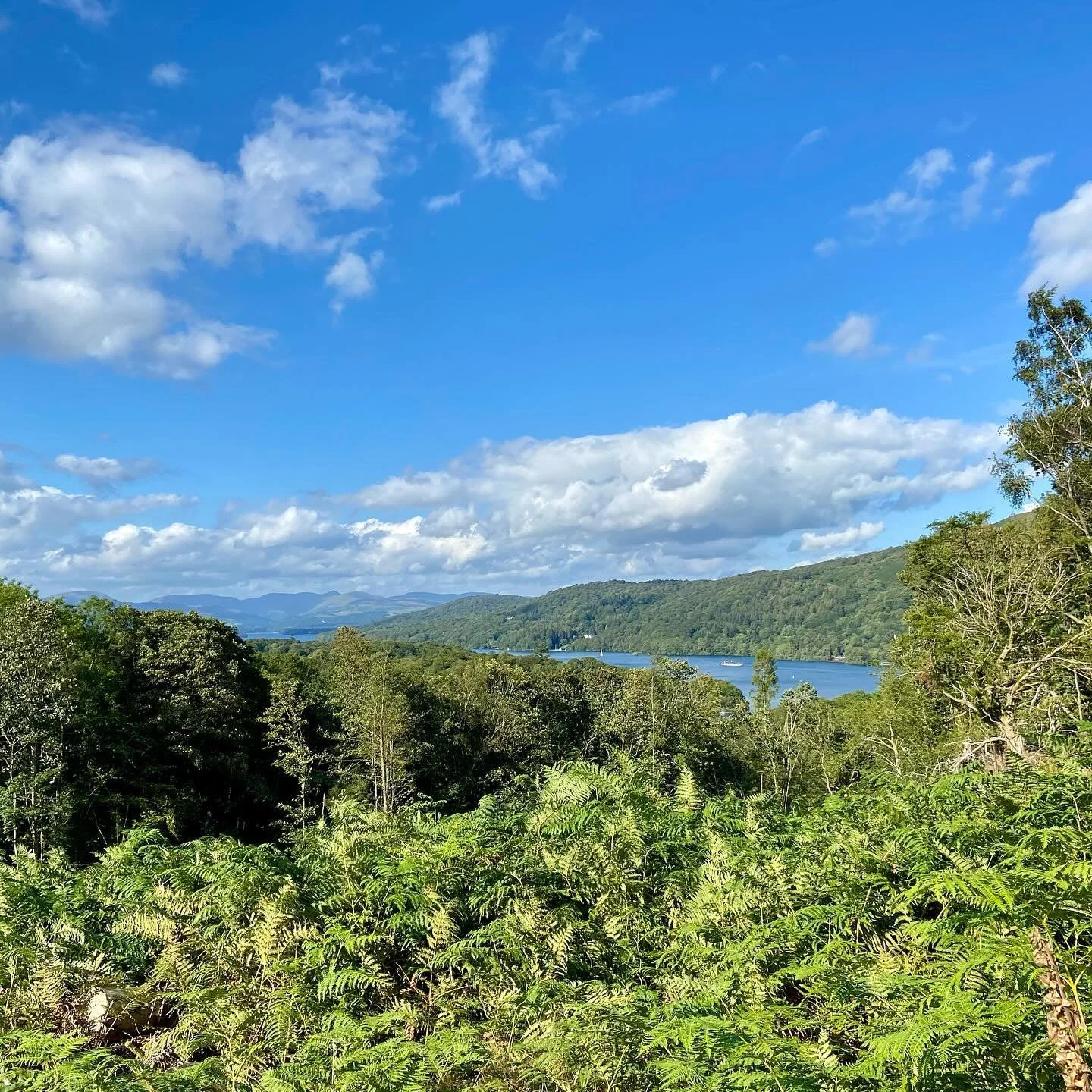 I will never get bored of the Lakes ☀️

#lakedistrict #lakewindermere #windermerelakecruises #newbybridge #haverthwaiterailway