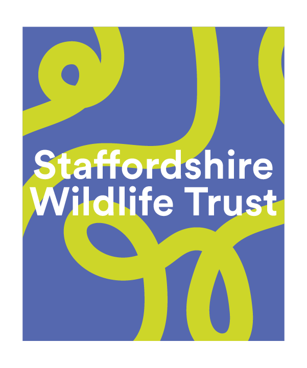 Artboard 2 copy 16@3x.png