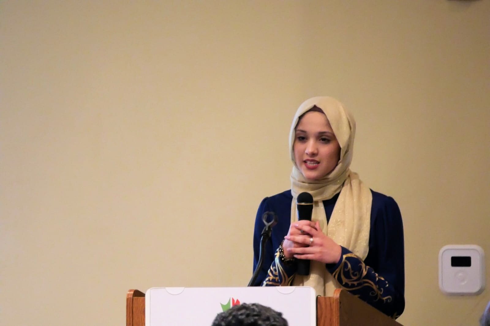 Art as Resistance: In honor of Shaheen Bagh