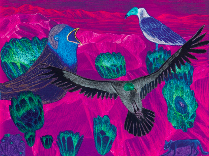 Our shared crisis at Chich’il Biłdagoteel/Oak Flat