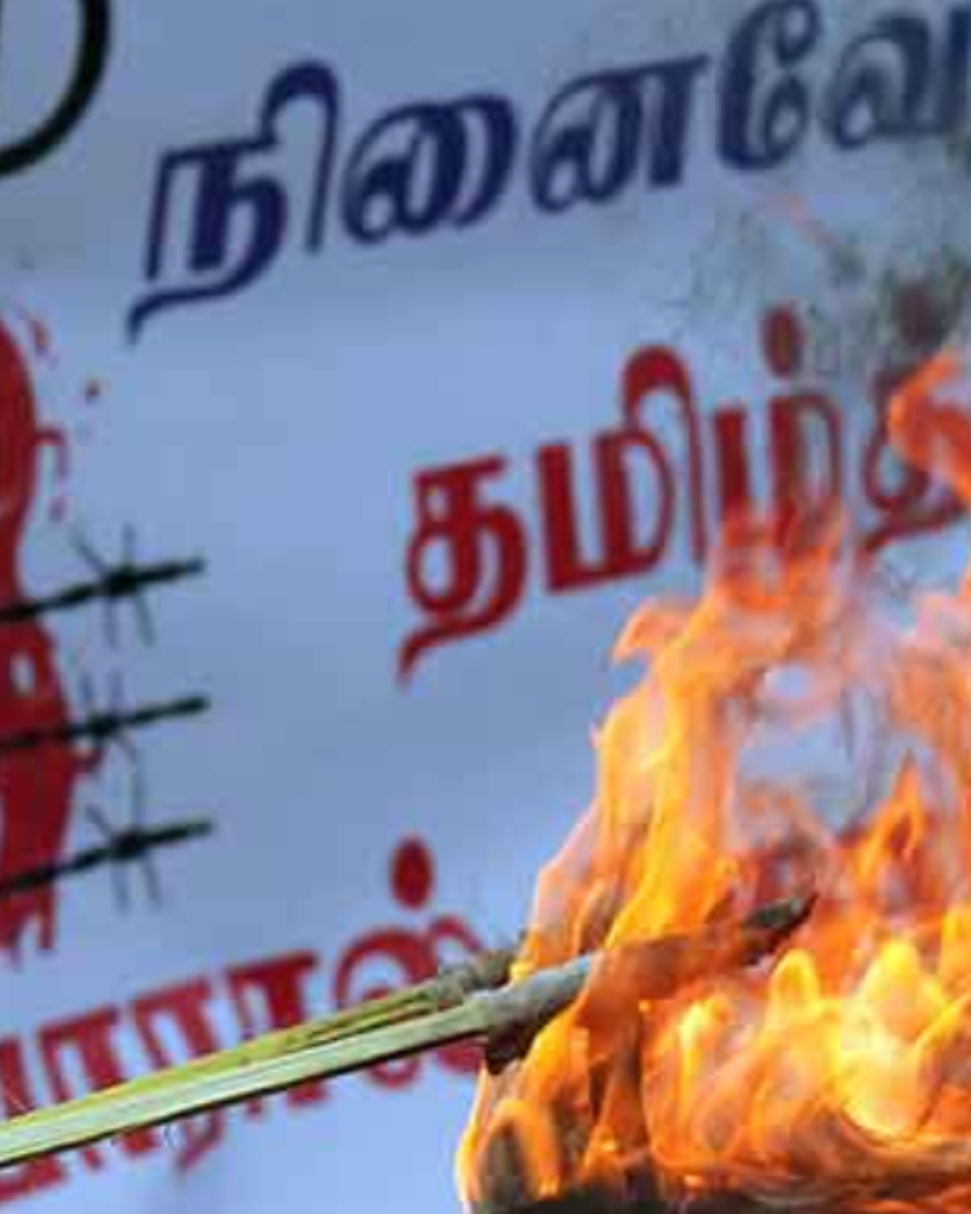 Remembering Mullivaikkal: Grief, Justice, and the Demand for Accountability