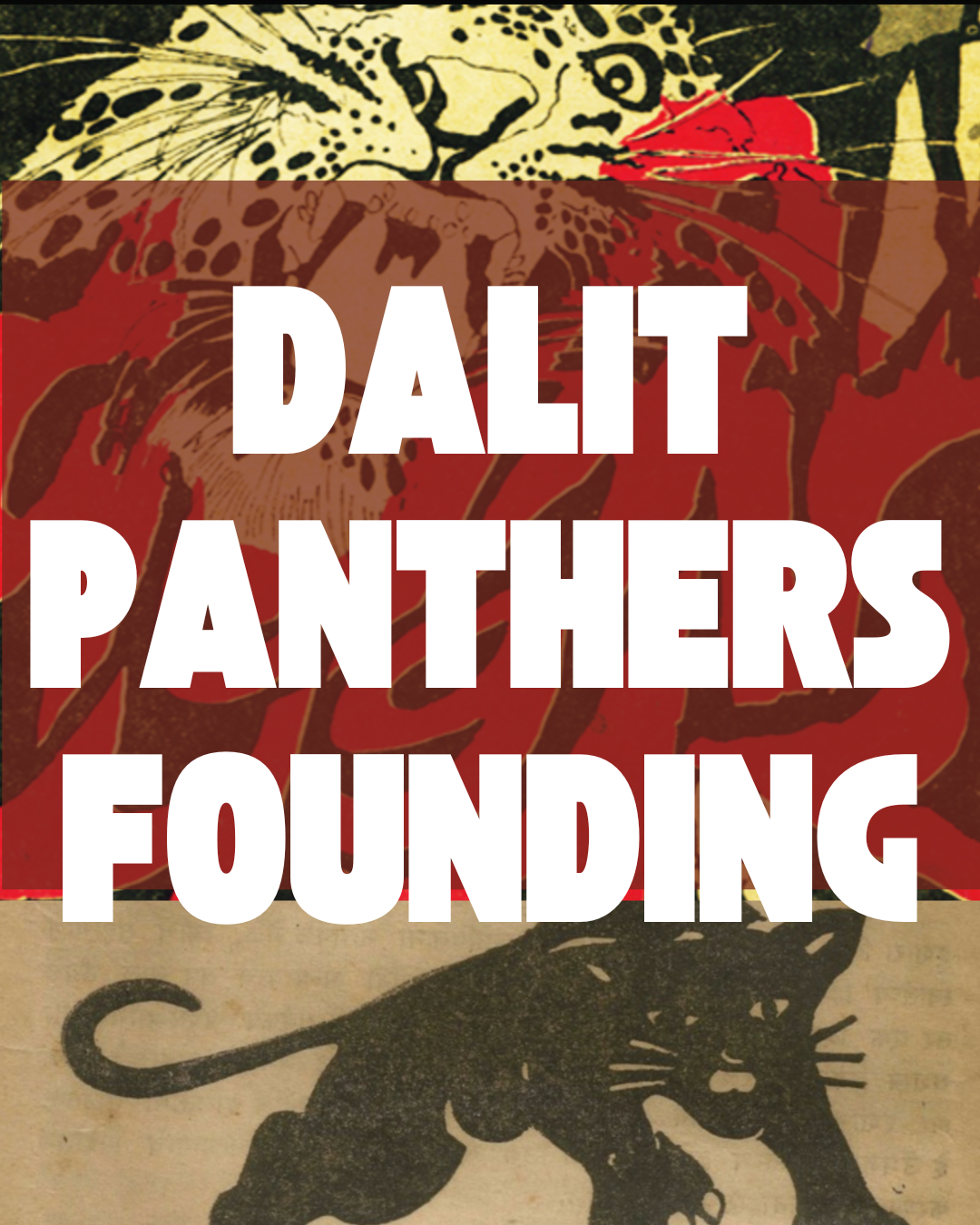 When the Panthers Took to the Streets: The Founding of the Dalit Panthers and the Fight Against Caste