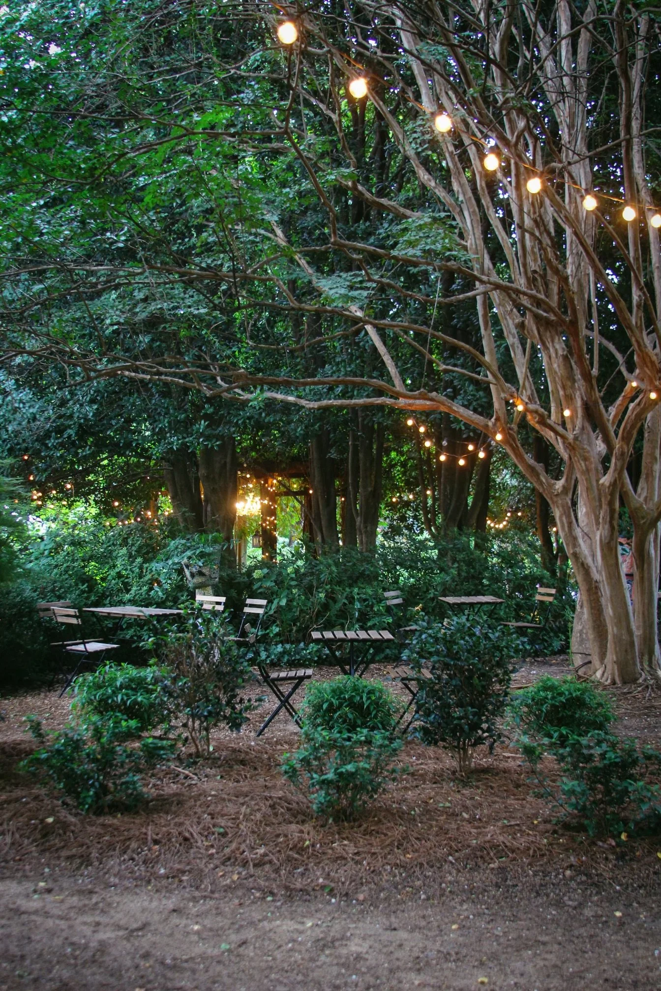 Rosie's Coffee & Wine Garden