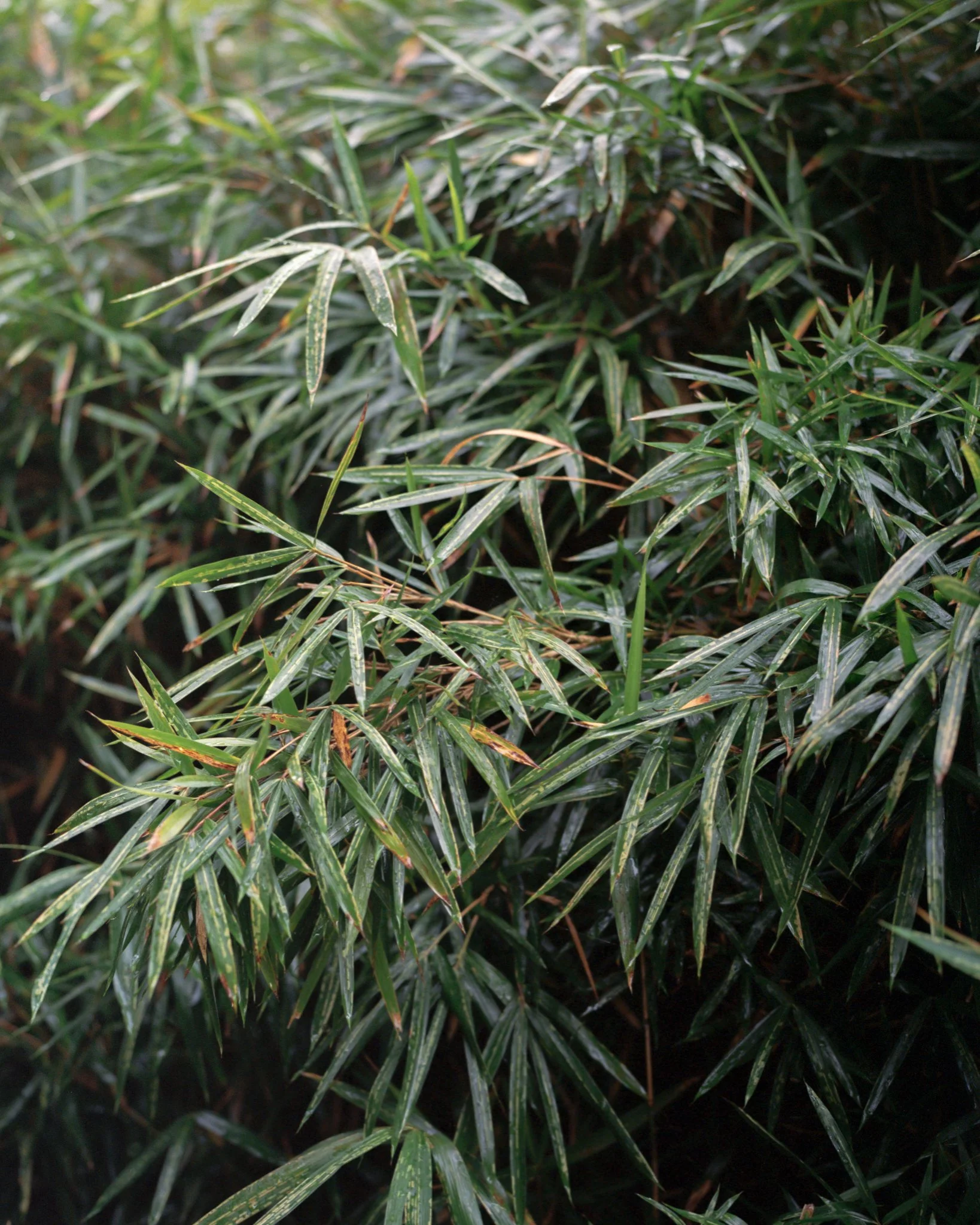 Image 10.jpg