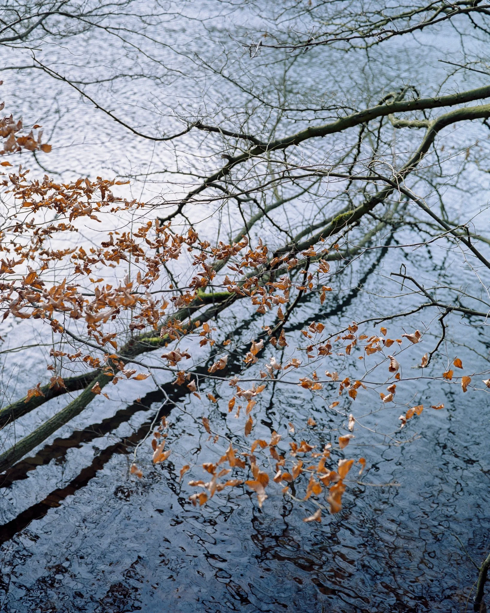 img133.jpg