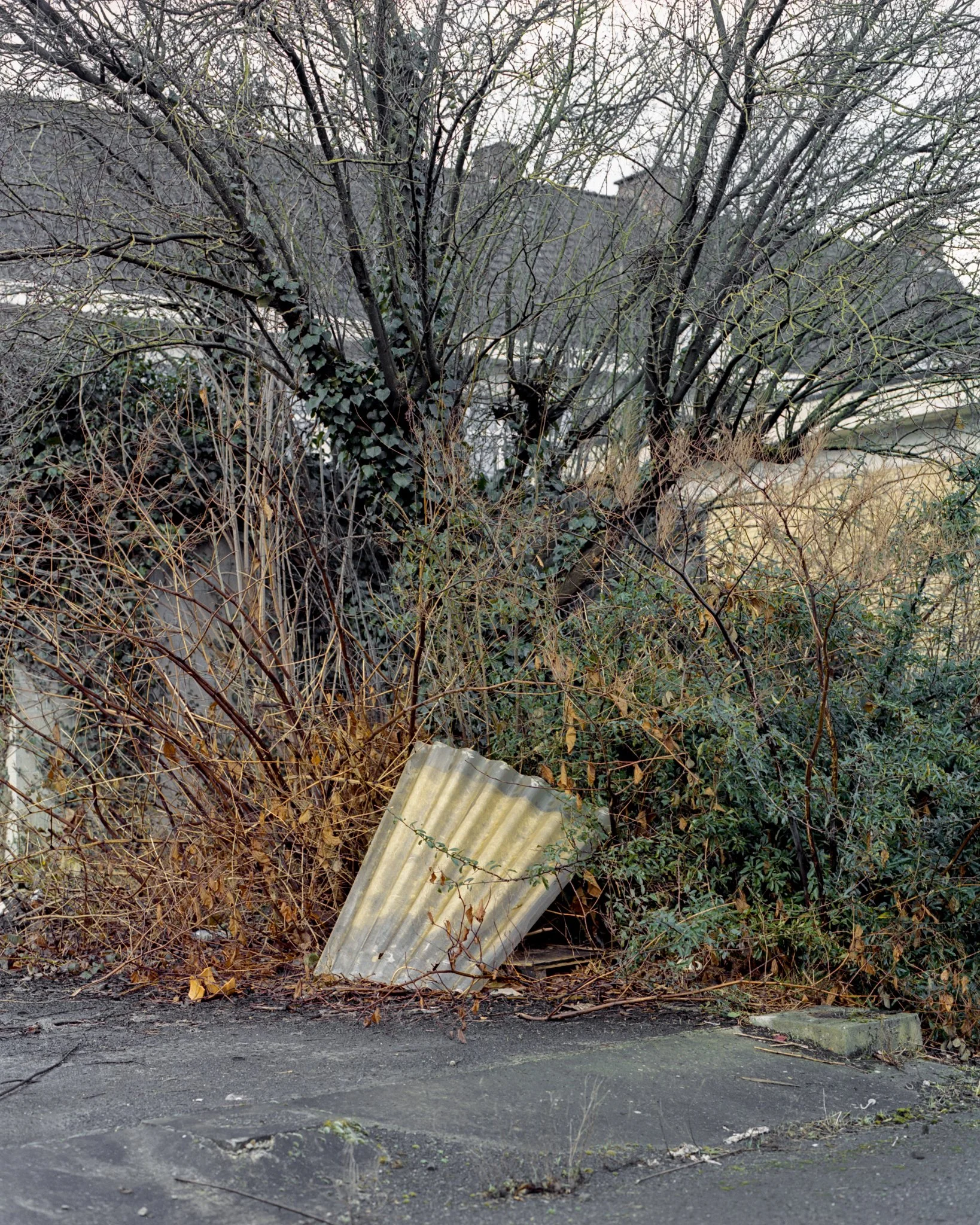 img752.jpg