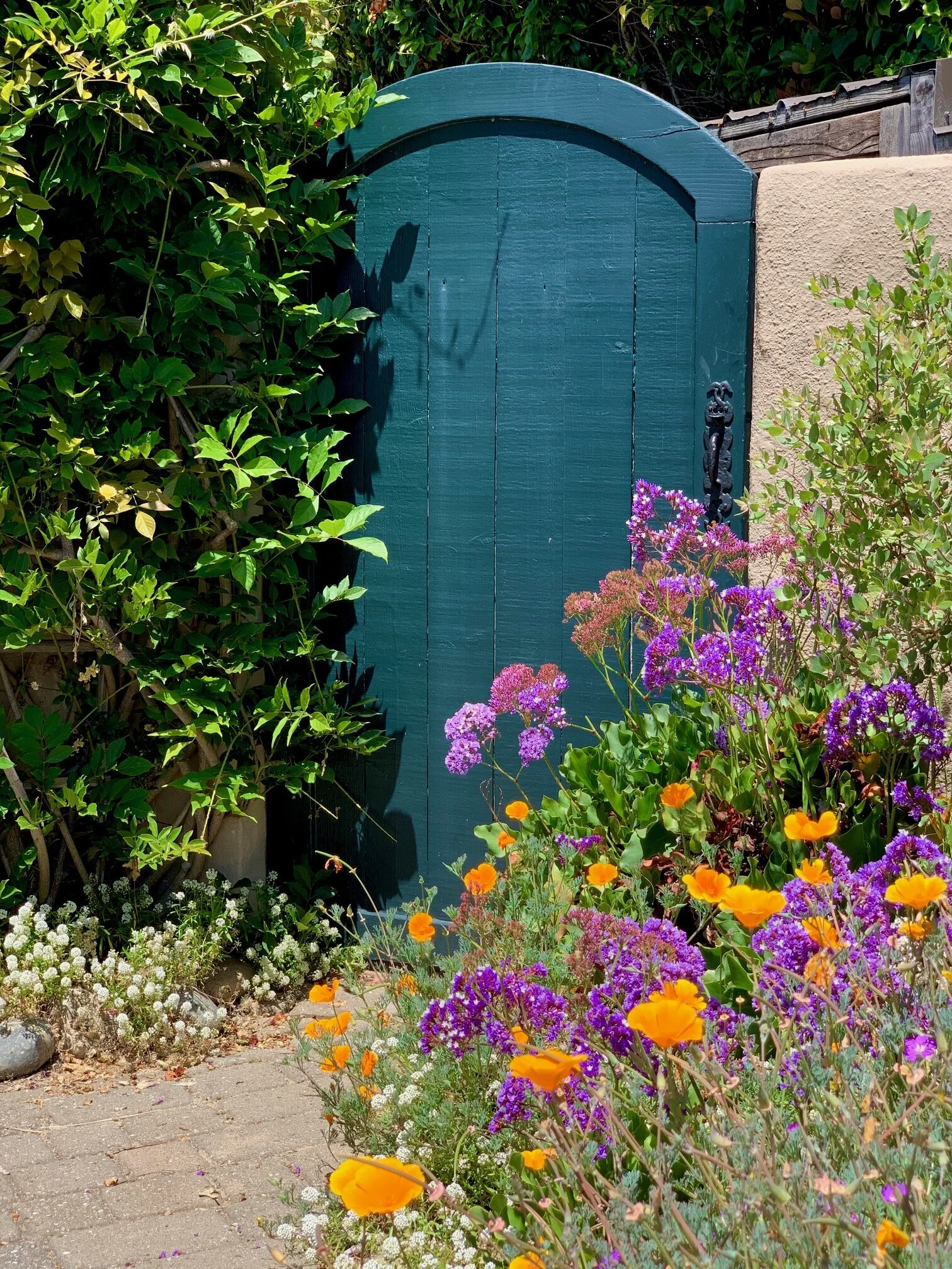 Enchanting Gates of Carmel by the Sea