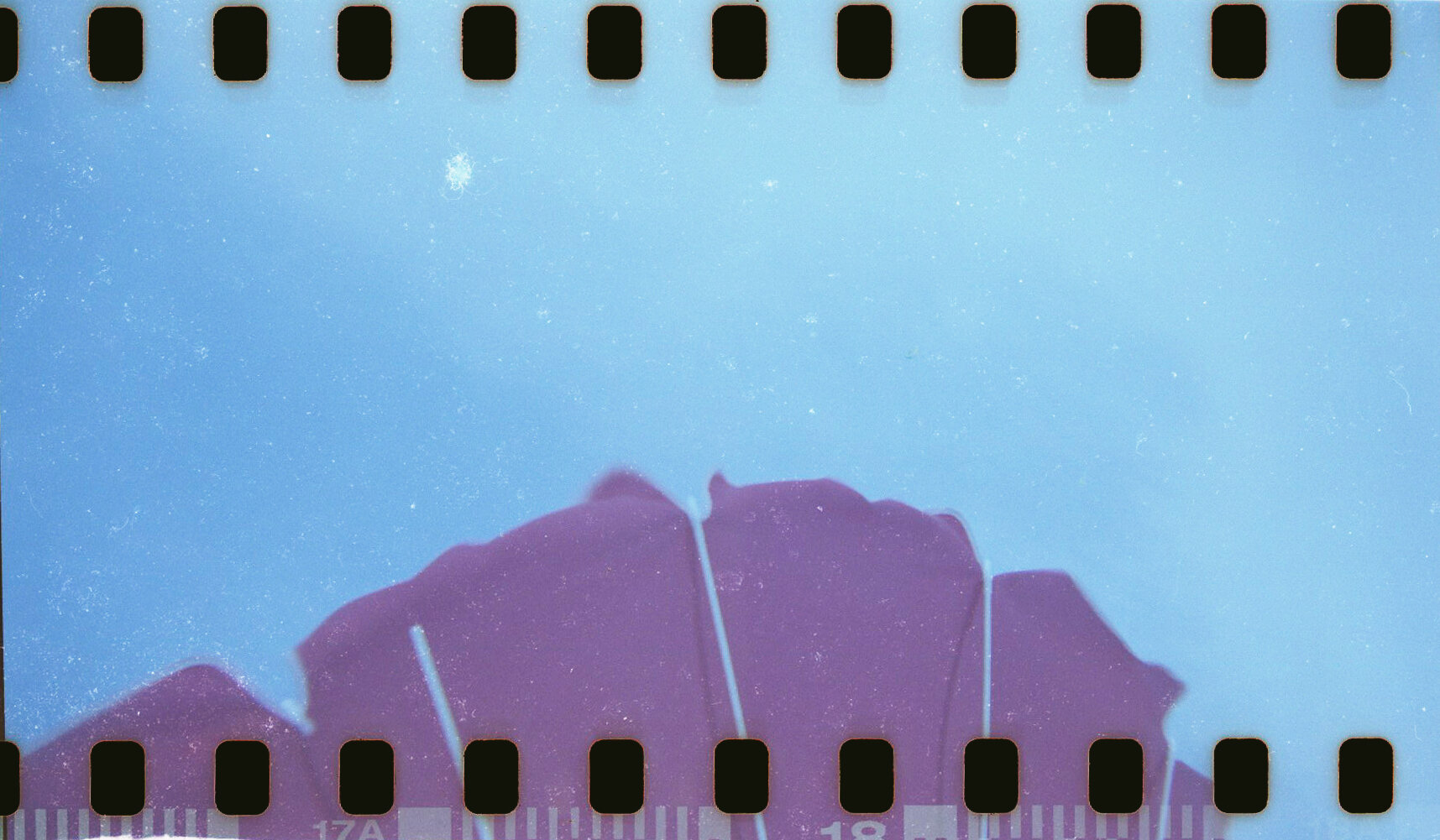 modified-holga_142.jpg