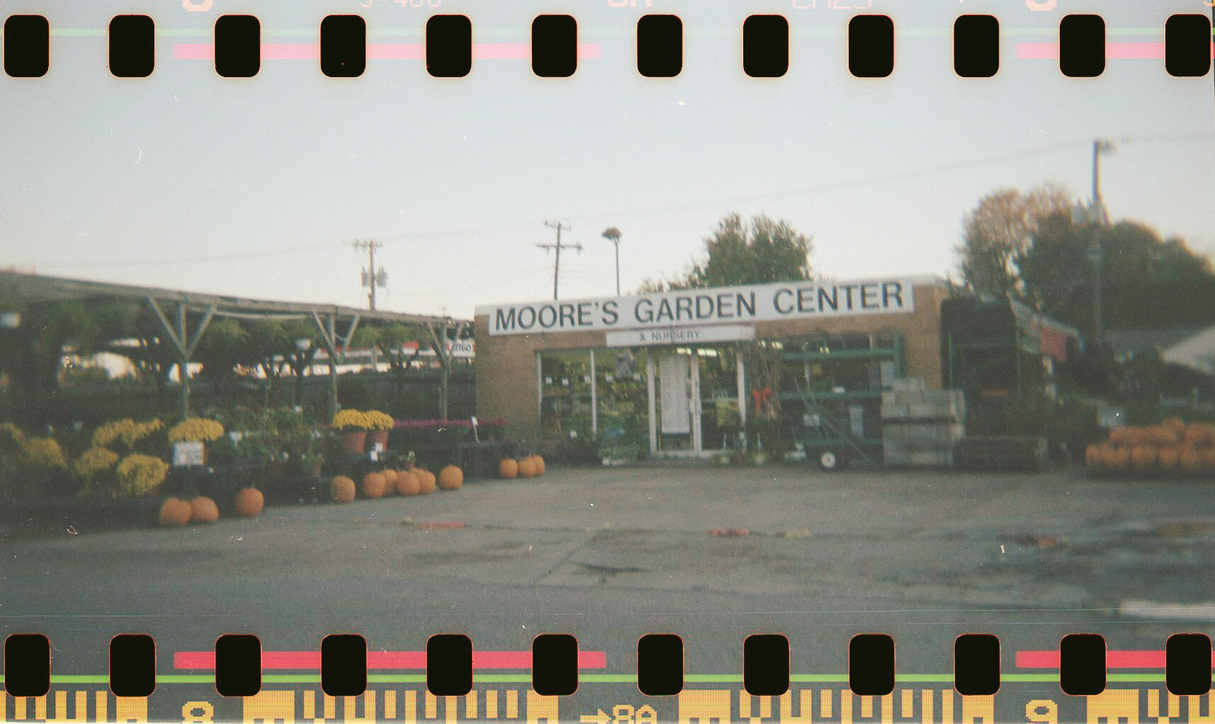 modified-holga_827.jpg