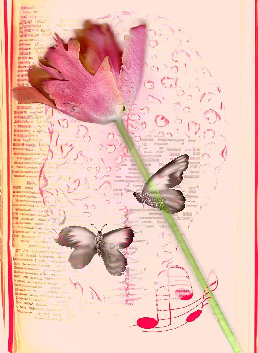 Parrot Tulip