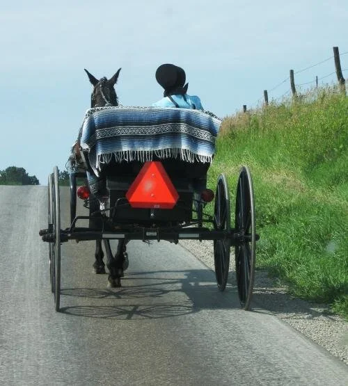 lady riding buggy.jpg