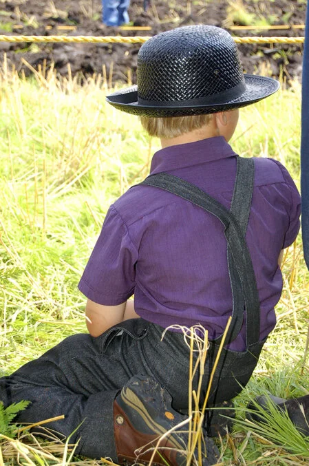 pixabay - emailamyd - amish-287412 -web.jpg