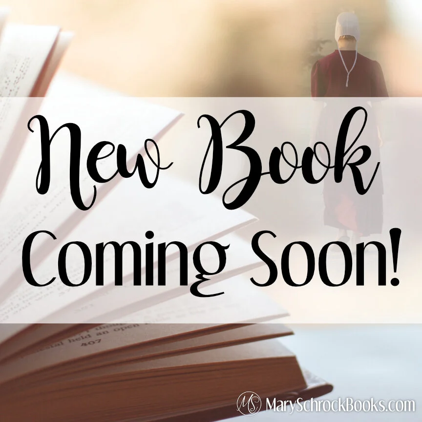 New Book Coming Soon — Mary Schrock Books