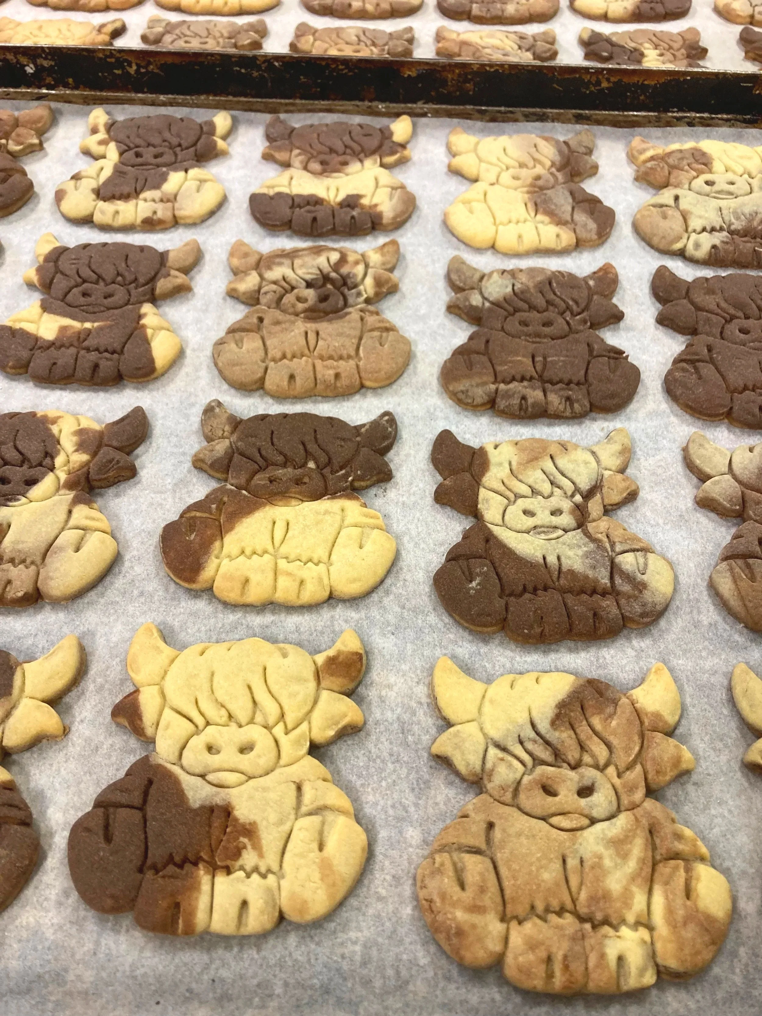 Highland Cow Biscuits | Bespoke Enterprise Cakes | Wholesale Cake Supplier | Ardington Bakery.jpg