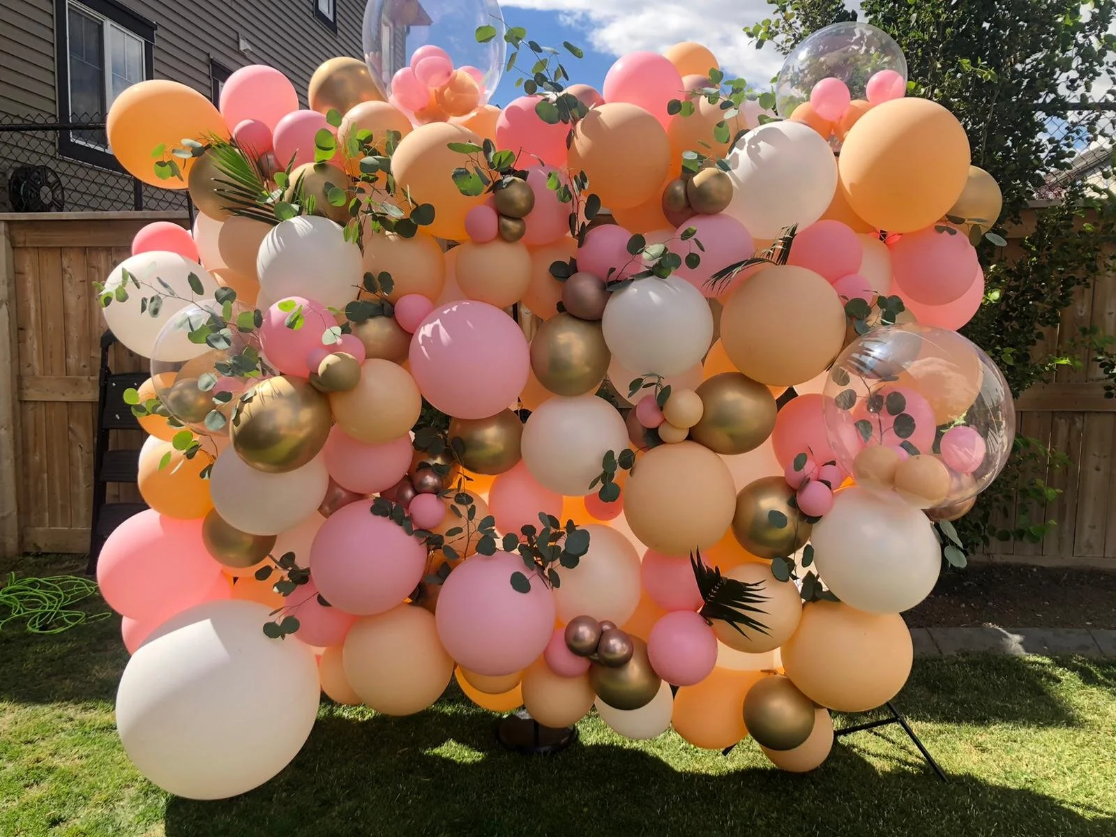 8B06CF64-62FA-49A9-8BBF-9F2D2803A9EB