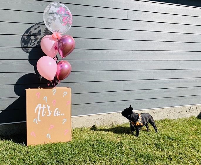 982AA652-FB03-4970-8C49-C25BD3F7872D