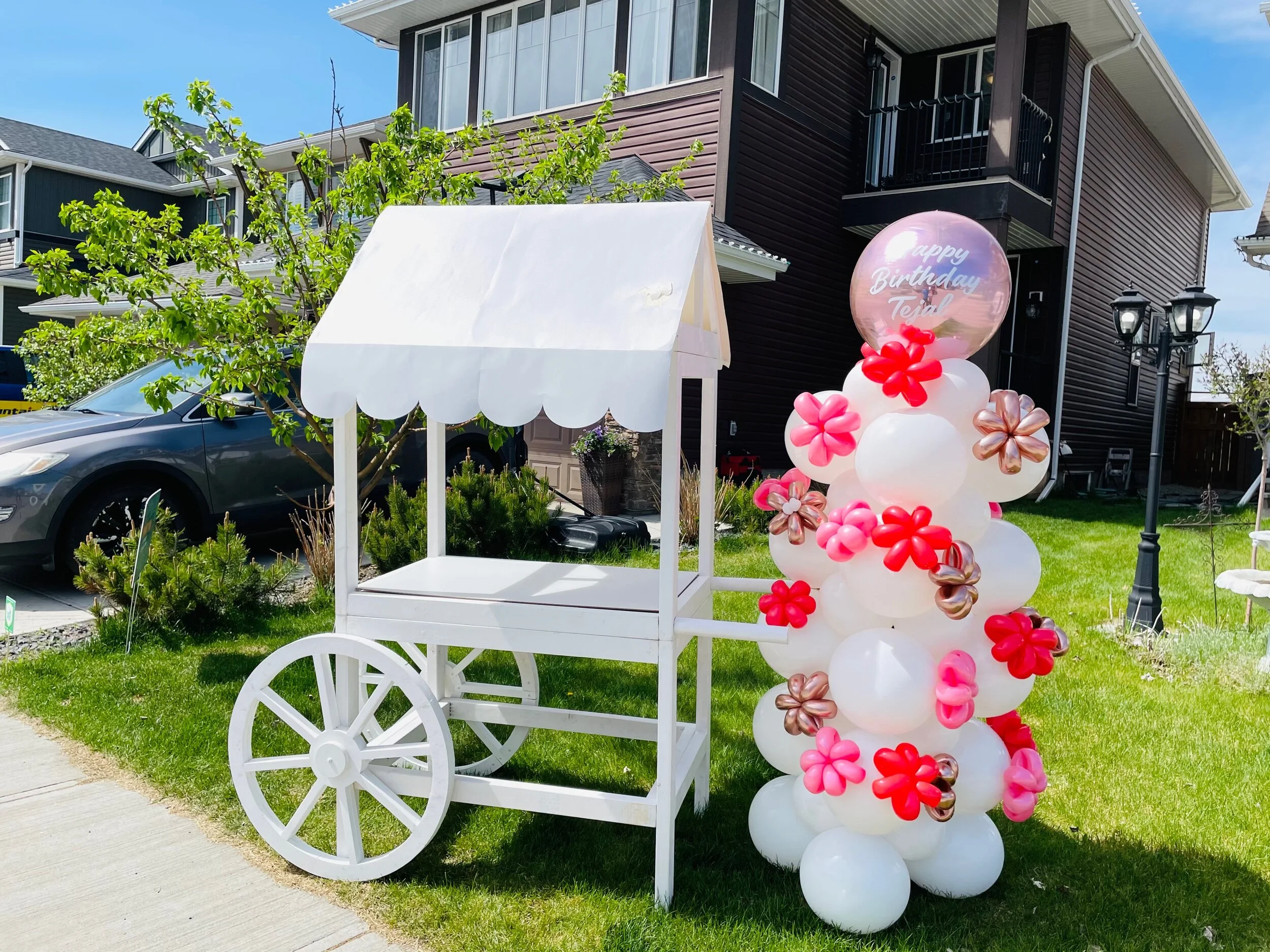 3713D5D6-34A3-4138-A6E8-C89A00DF78B9