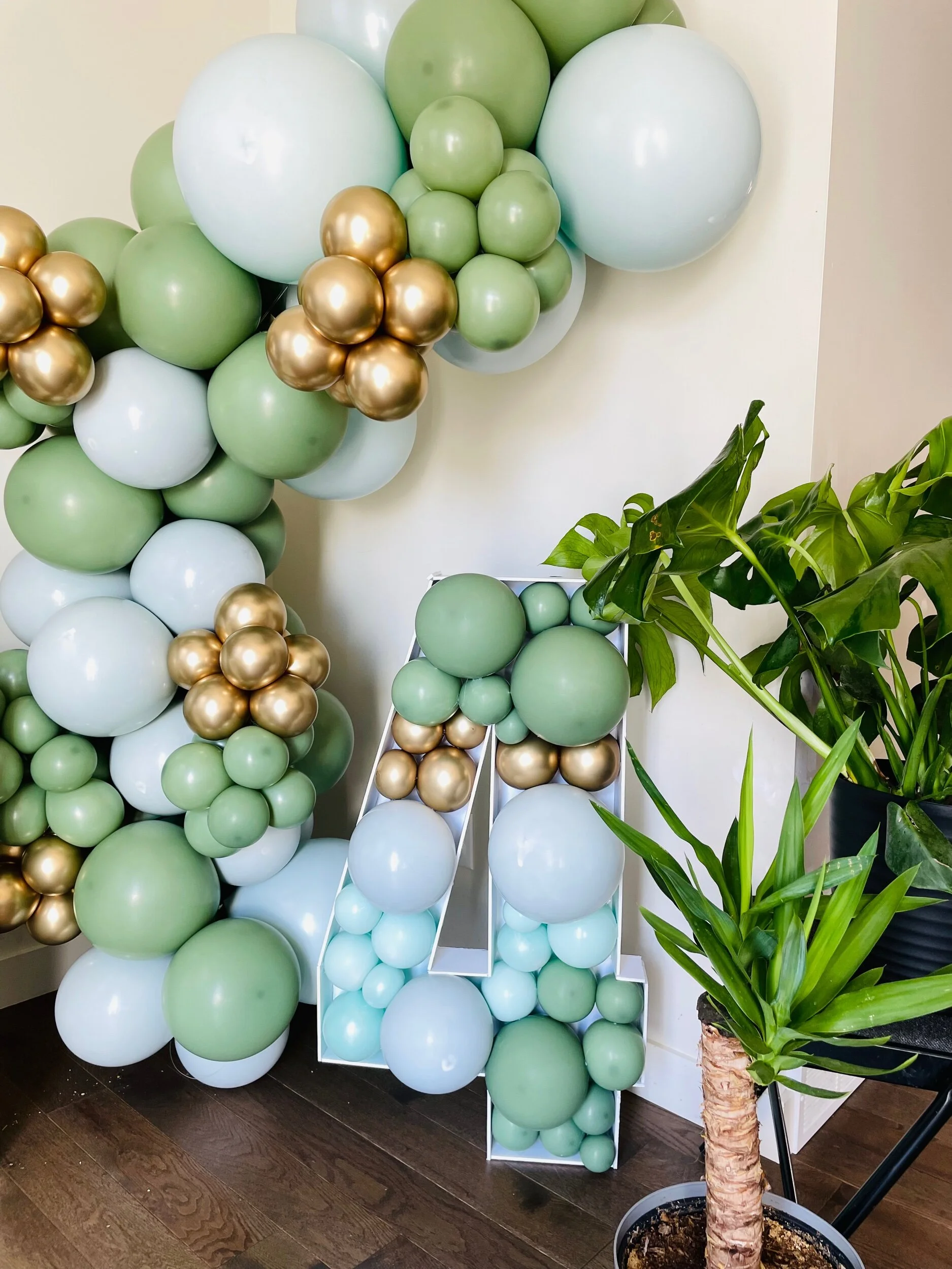 C3A3B835-9F4C-48C6-9419-A2FA48A6A380