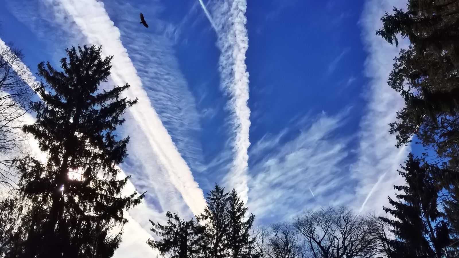 Airplane contrails have surprising effect on the atmosphere