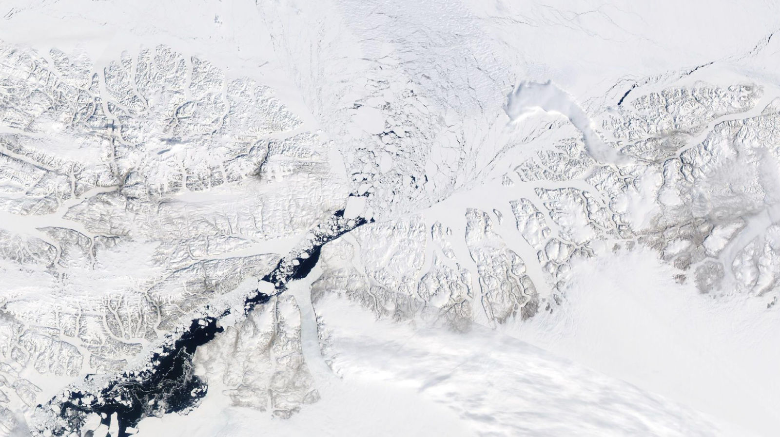 The gateway to the Arctic's oldest sea ice has collapsed months ahead of schedule