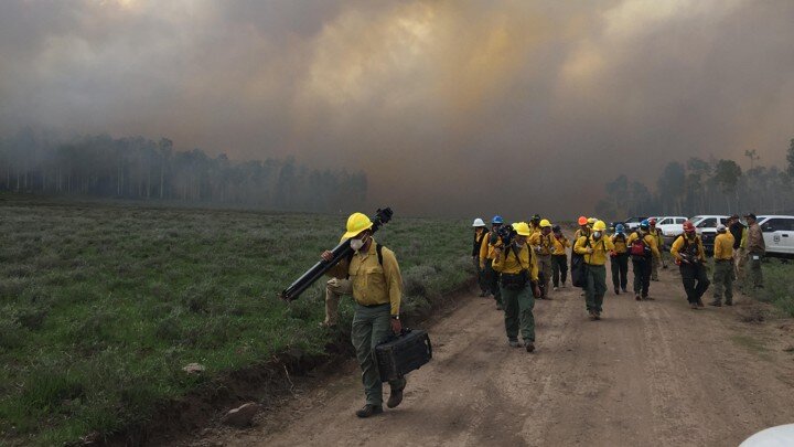 The Forest Service Is About to Light a Giant Forest Fire—On Purpose