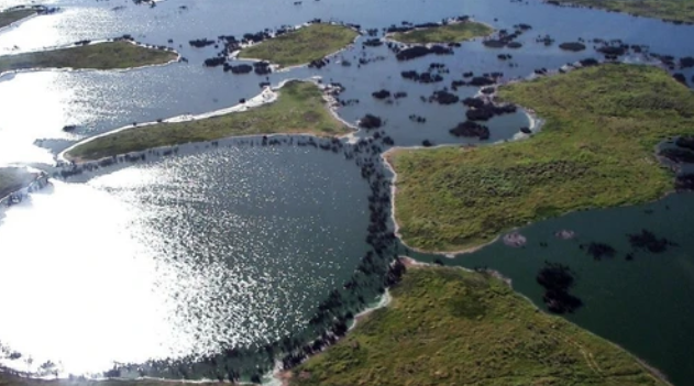 The world's largest tropical wetland is on fire