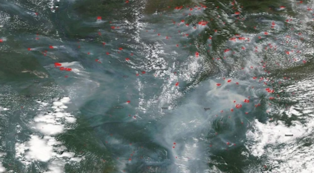Siberia's fires triggered a sea ice meltdown