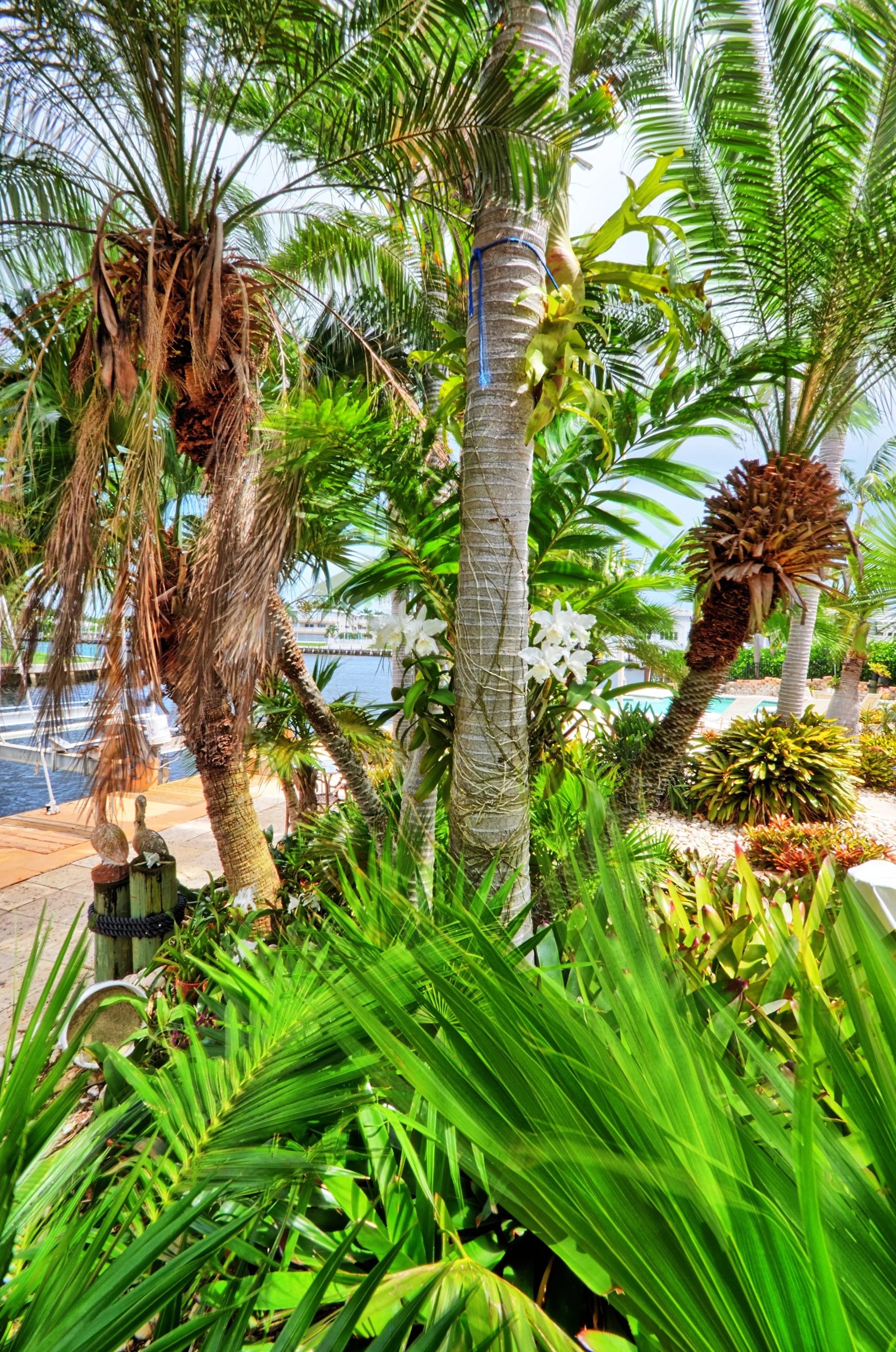 DSC_1393_4_5_easyHDR-dramatic-bright.jpg