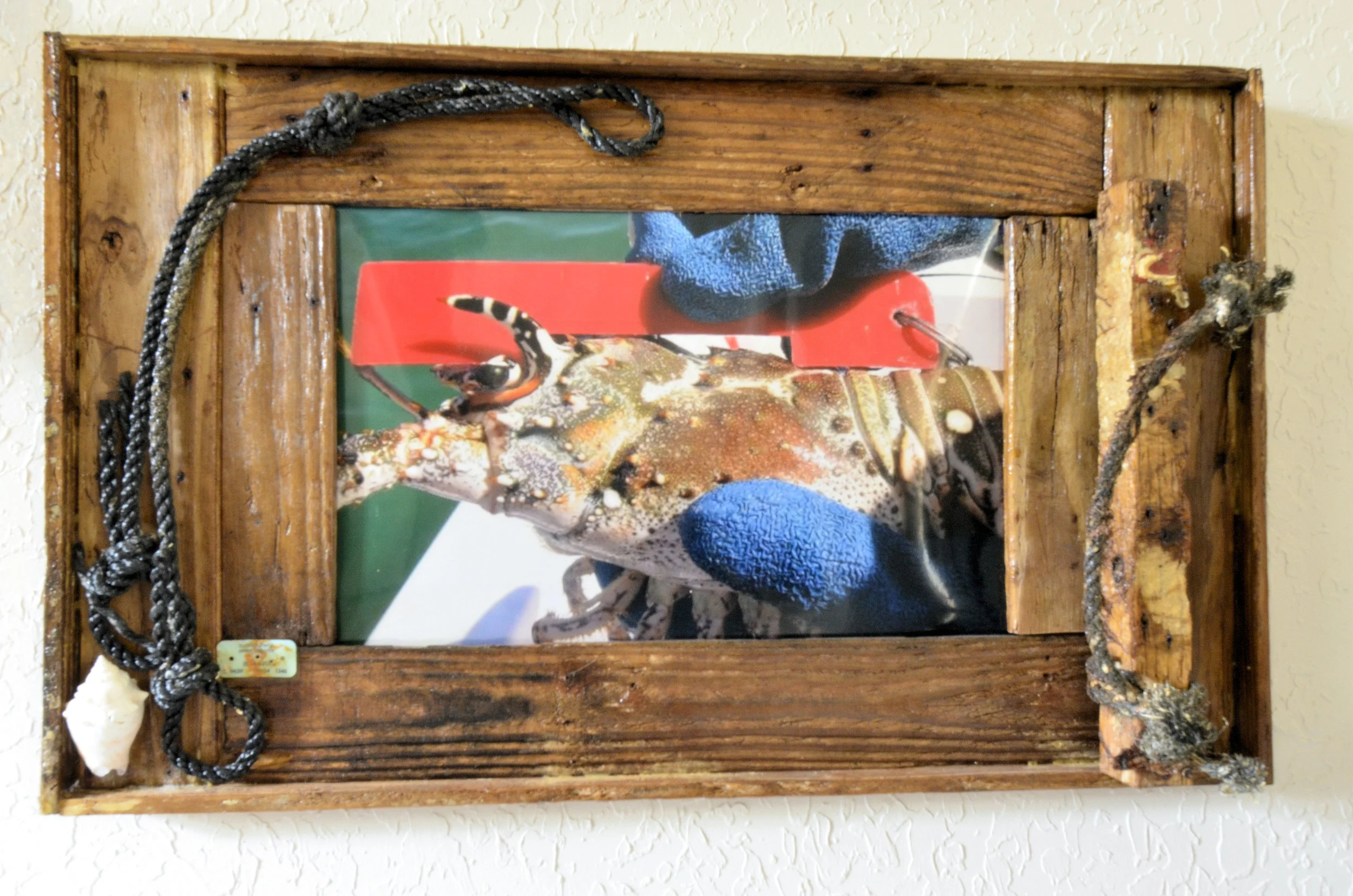 DSC_1410.jpg