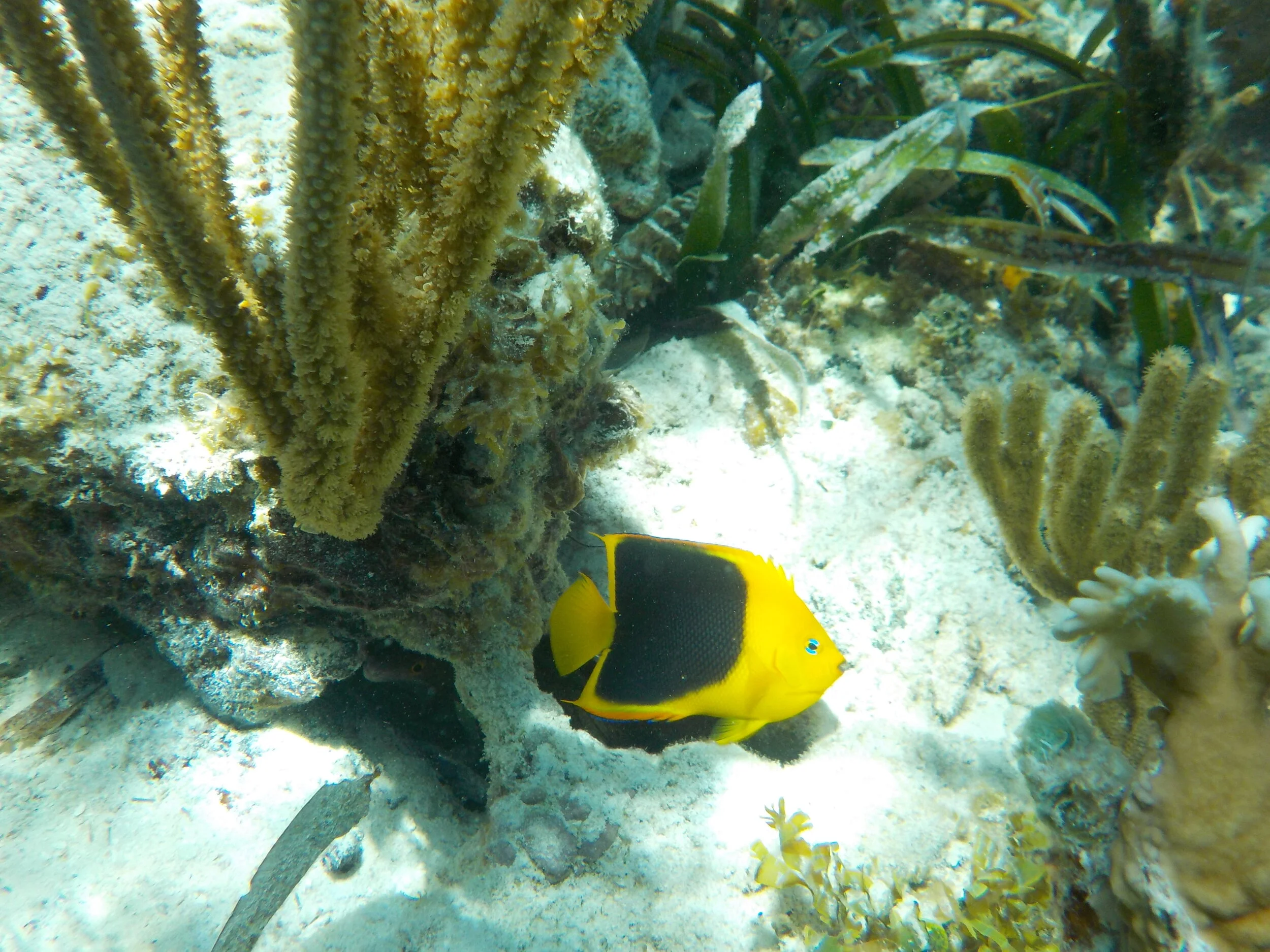 DSCN0149.JPG