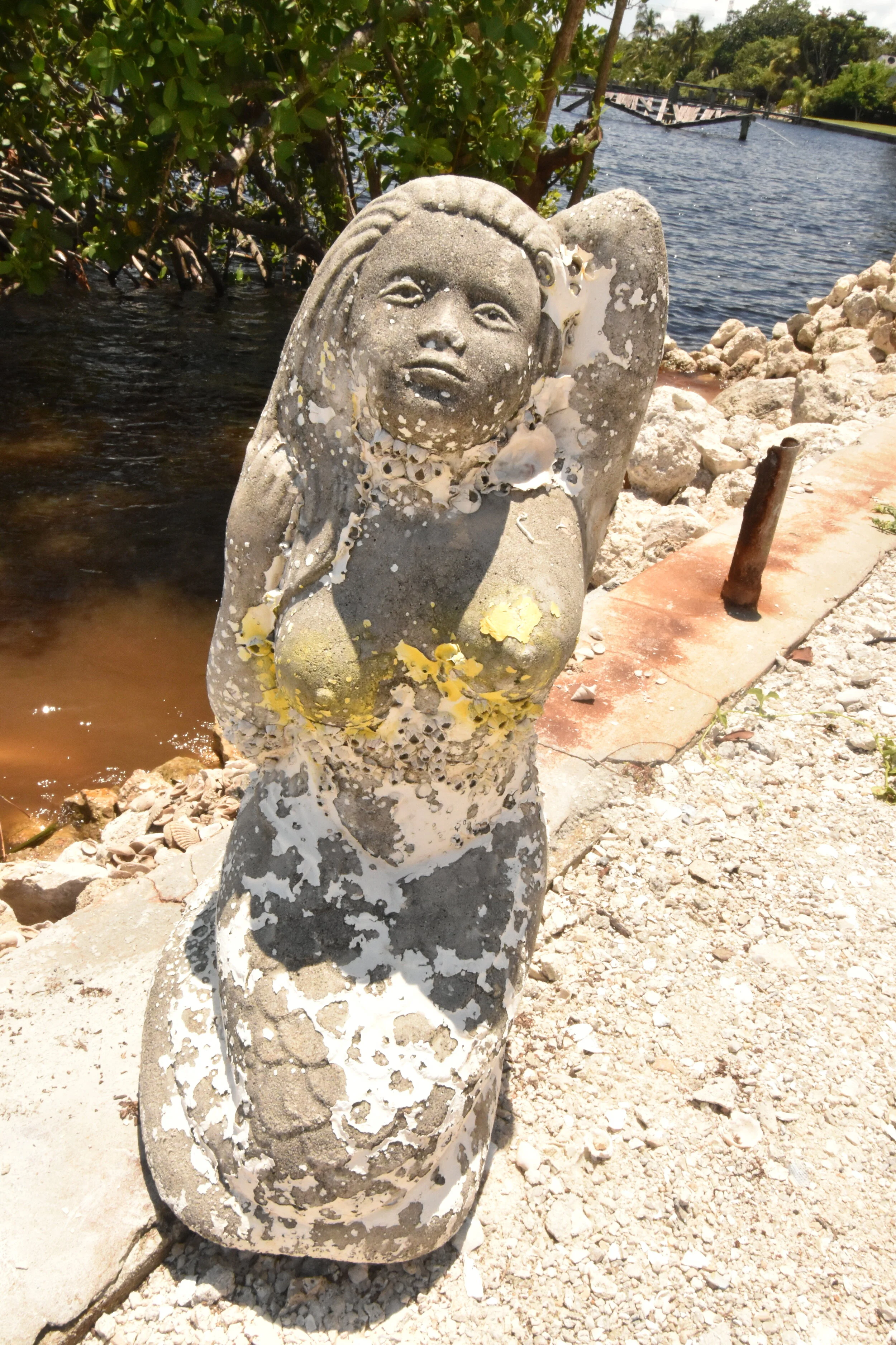 DSC_0697.JPG