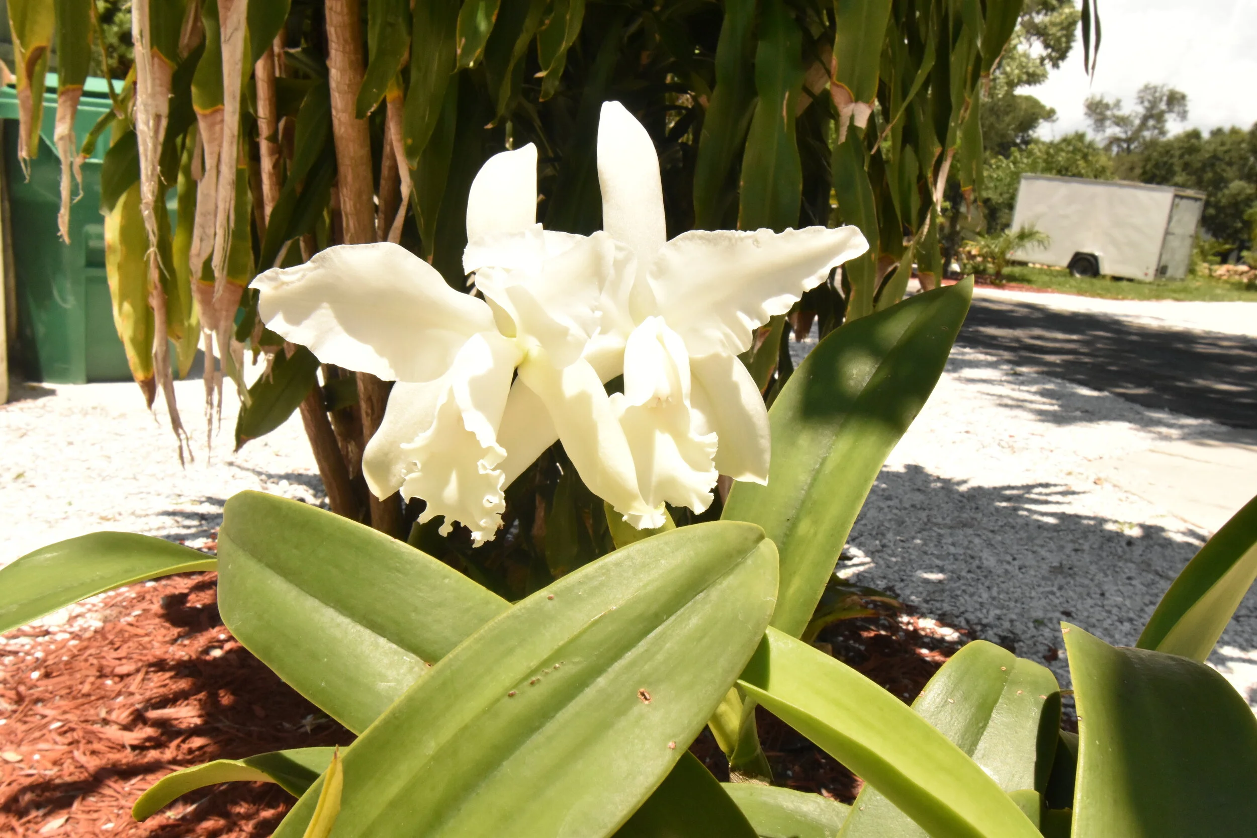 DSC_0674.JPG