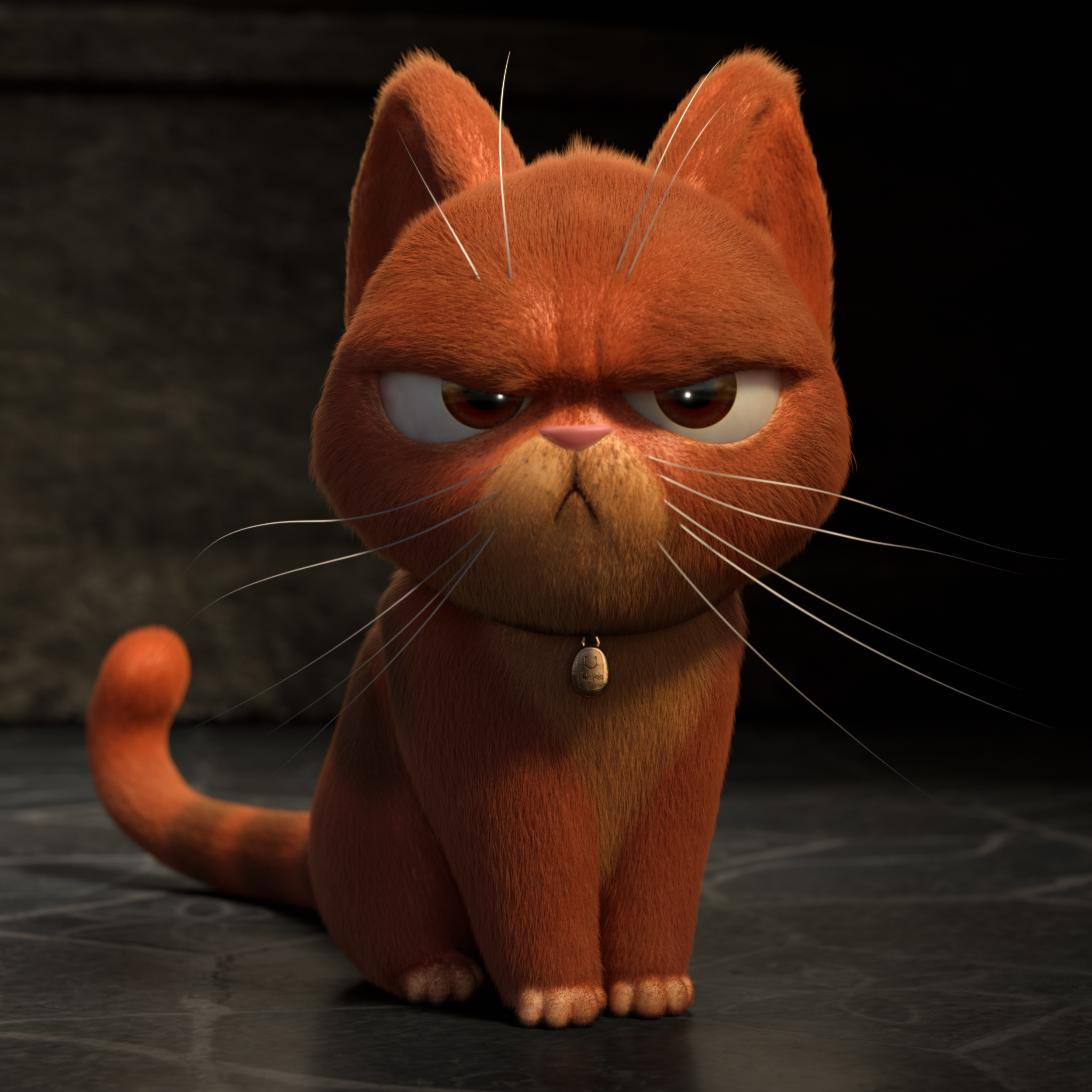  Some cats are grumpier than others… Crookshanks is part of the Hermione project and the grumpiest of them all!   