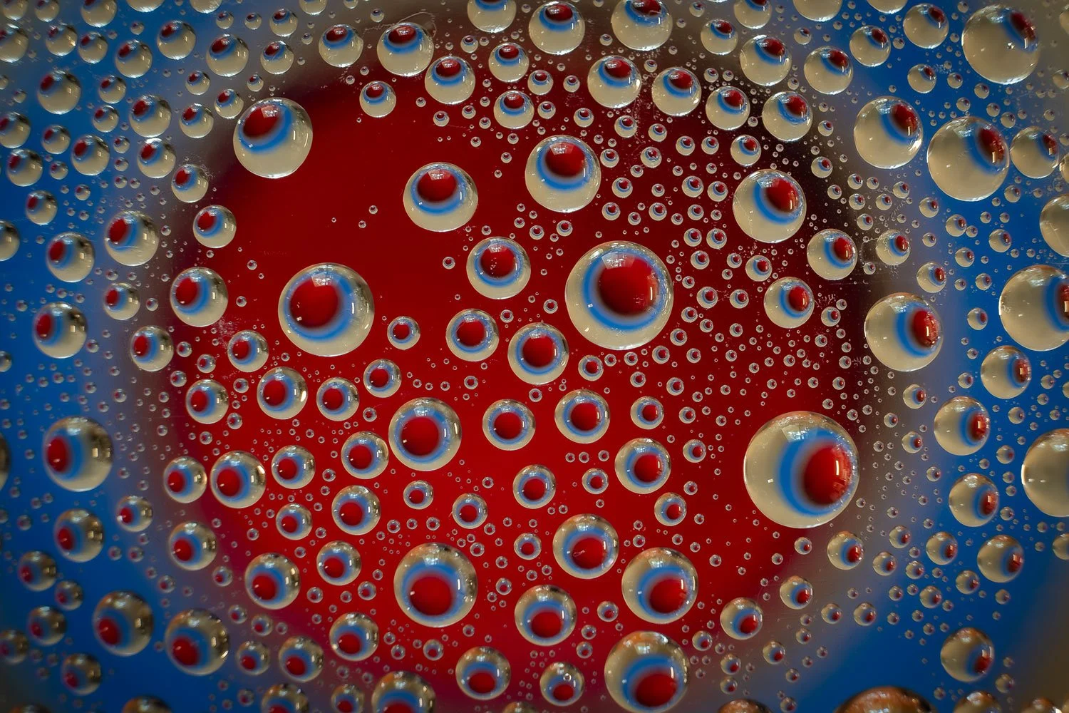 _DSF4805a.jpg
