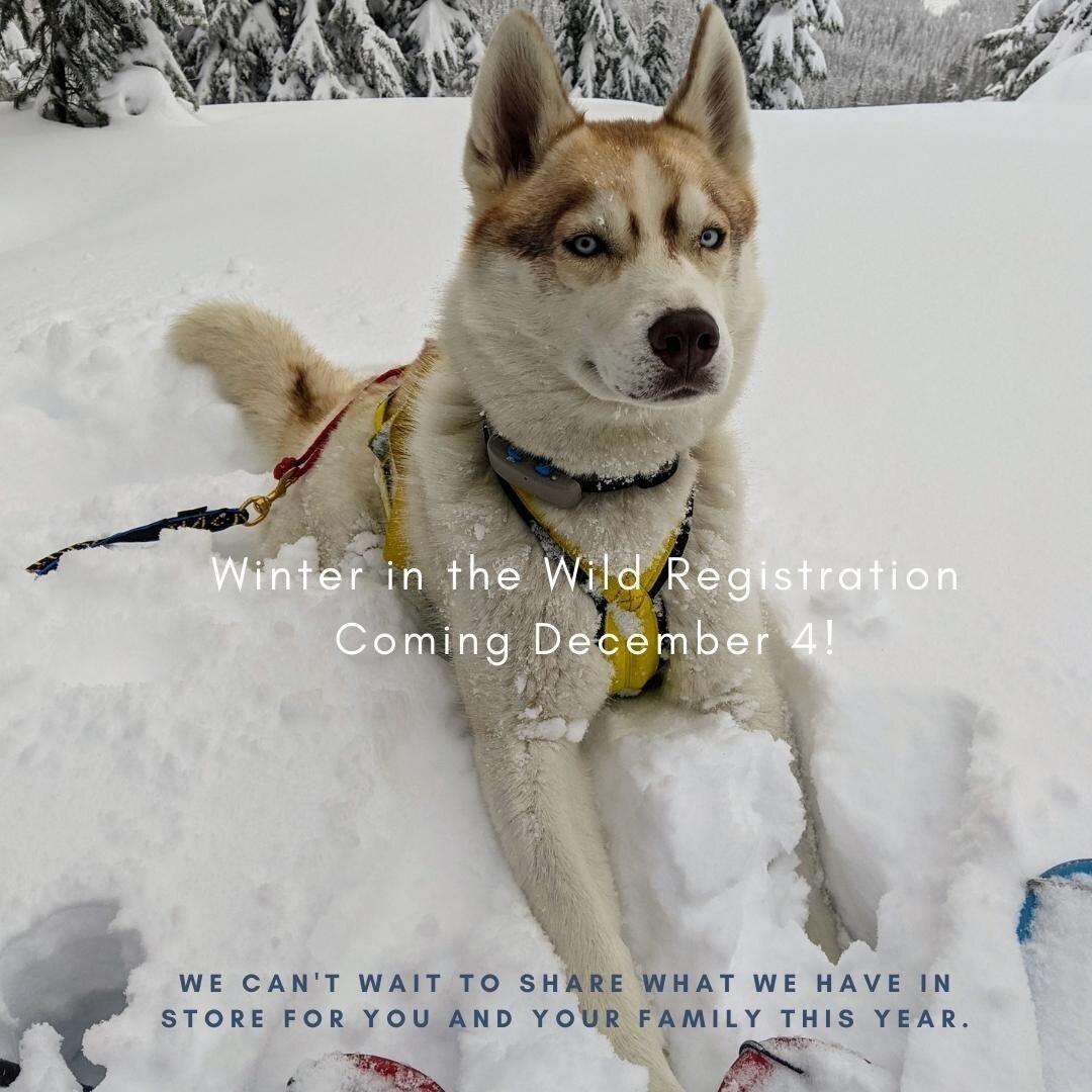 For this year's Winter in the Wild we are working extra hard to bring something new and special to our community! 

We can't wait to share more this Saturday, December 4th when we open registration, so please stay tuned!

(we know based on this pictu
