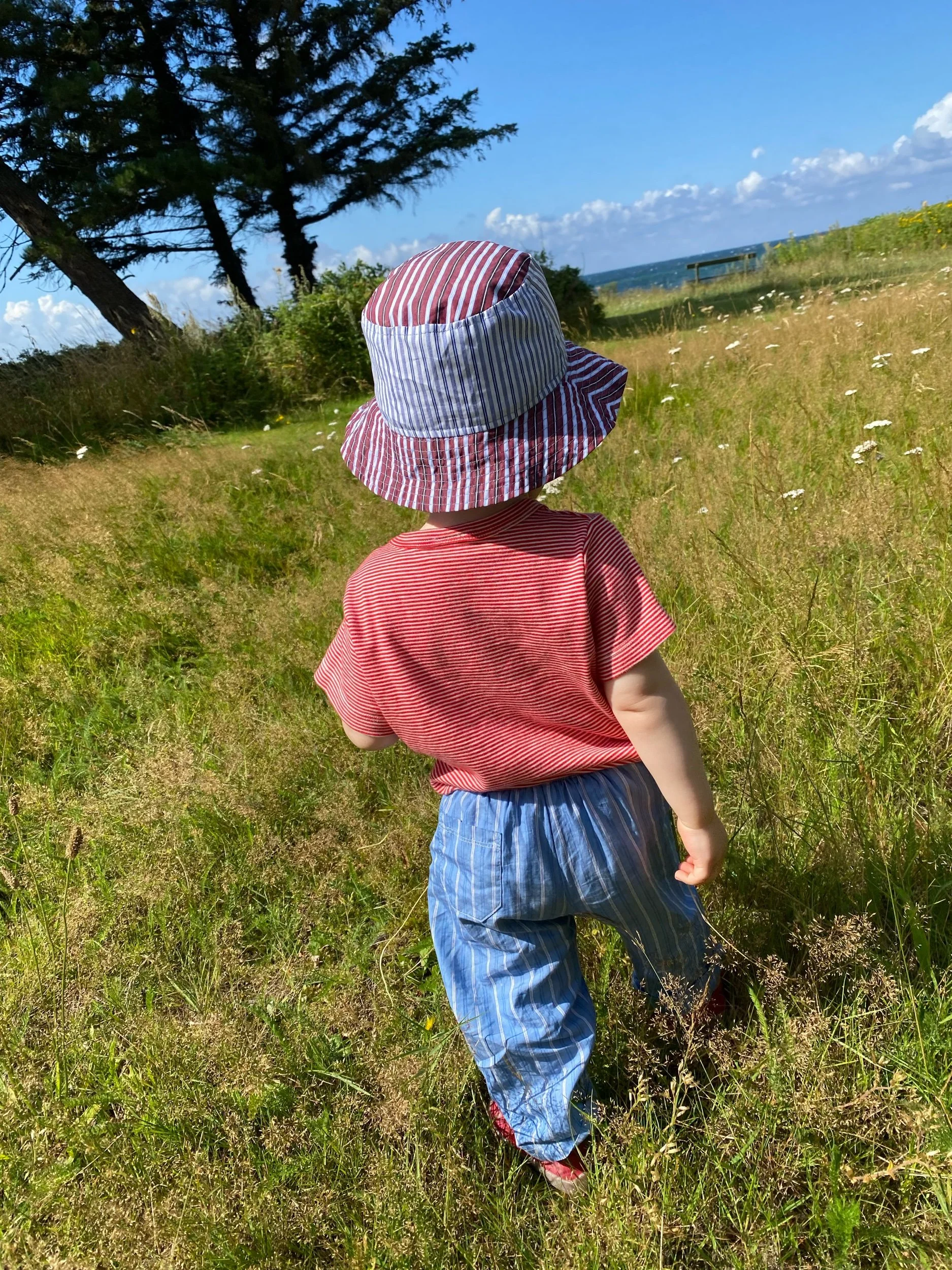 9E7B7351-502A-4996-BC5B-CBFBB8723F79